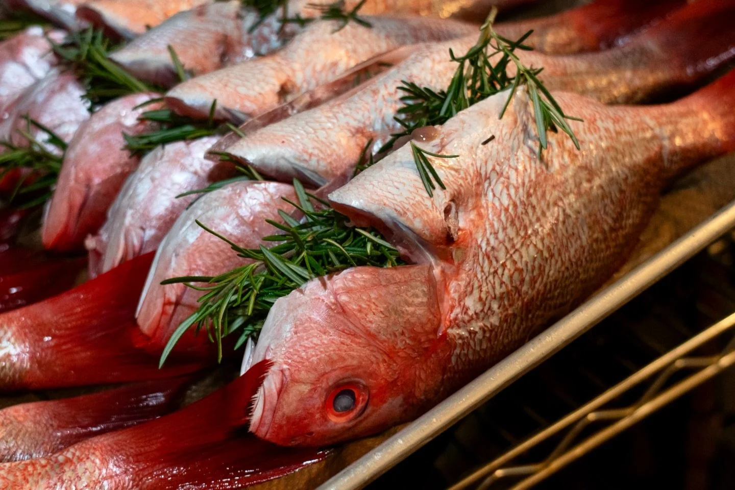 Feeling kind of spur of the moment - Fire Roasted RED SNAPPER on special for dinner tonight #husicksbyforester 

#sacramento #clarksburgca #sacramentorestaurants