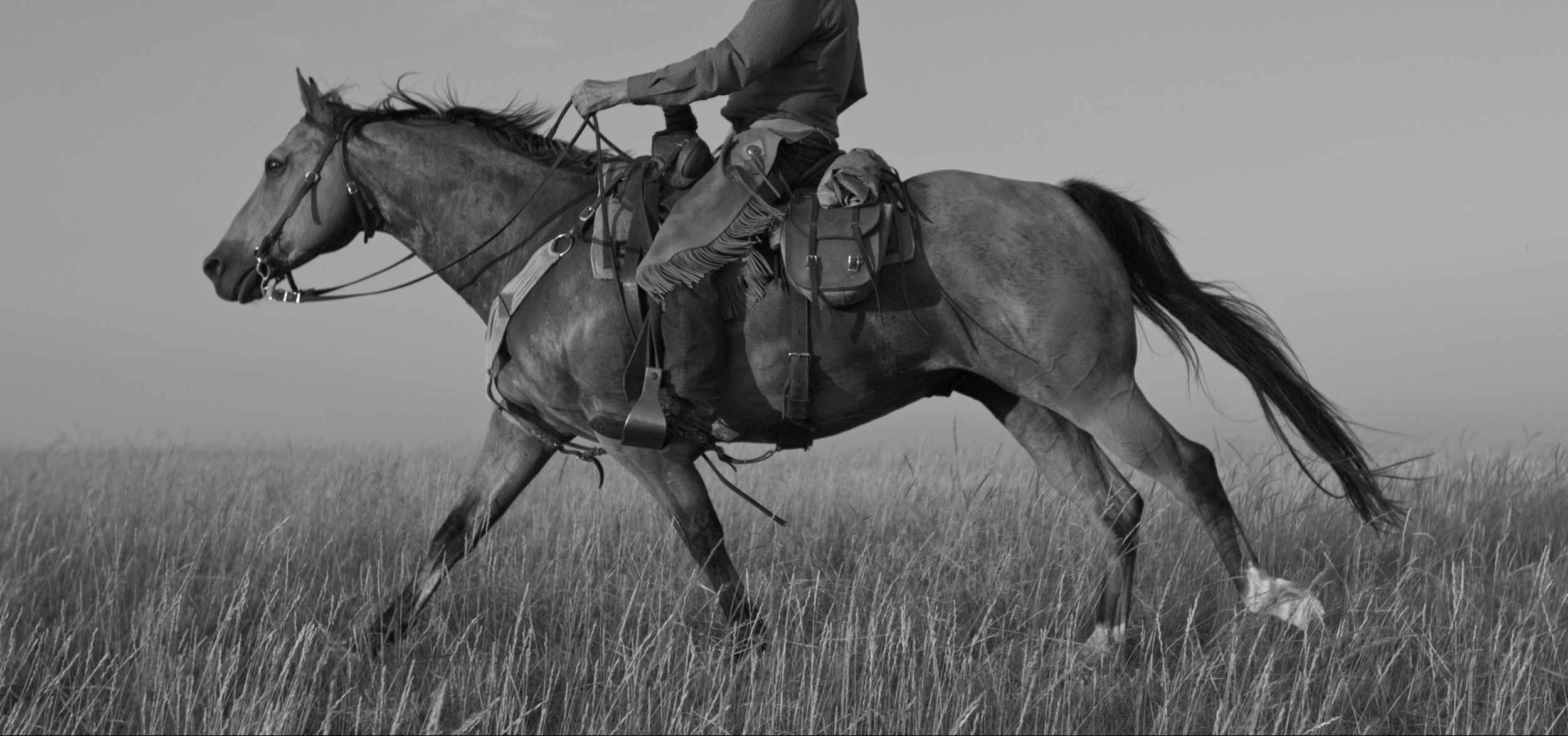 Screenshot 2026-02-24 at 5.34.09 PM.png