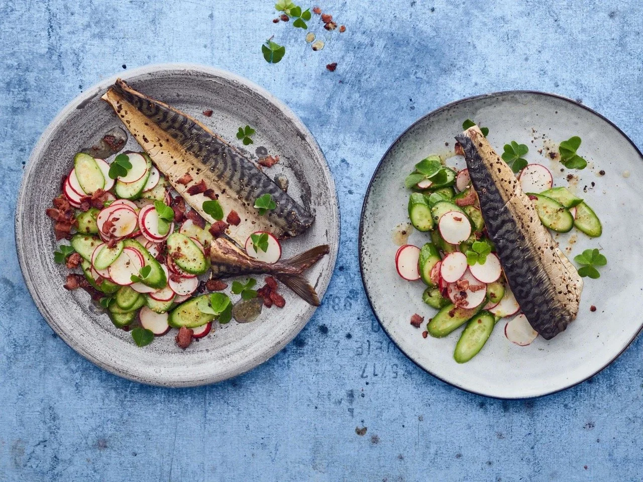 geraeucherte-makrele-mit-salat-und-speckbroeseln-0-4-3 Large.jpeg