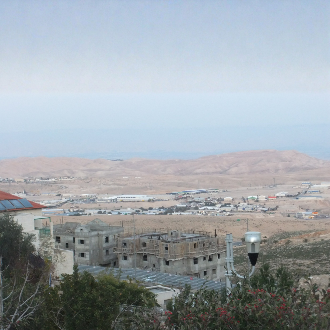 Congress to Rubio: Confront Israel’s Reckless West Bank Moves