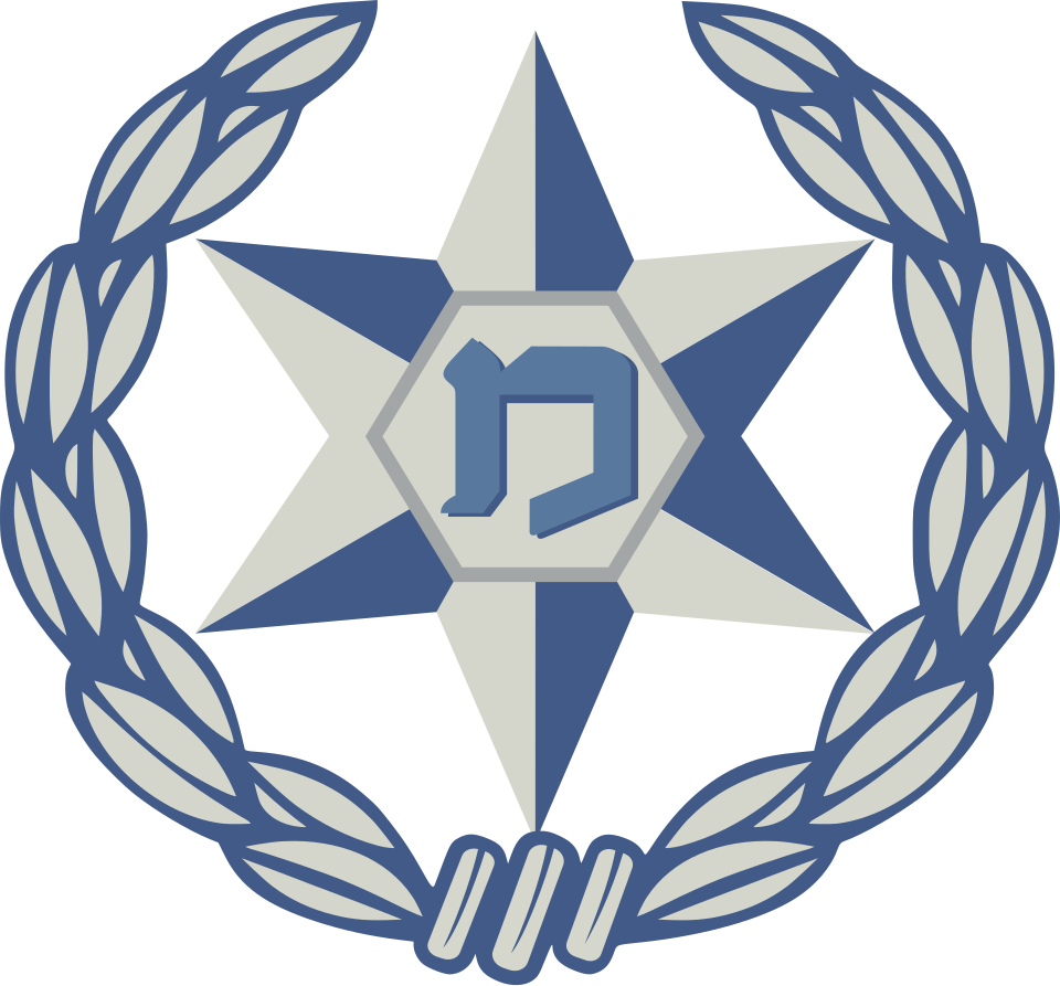 Israelis outraged by the violence its own police commit (or ignore) 