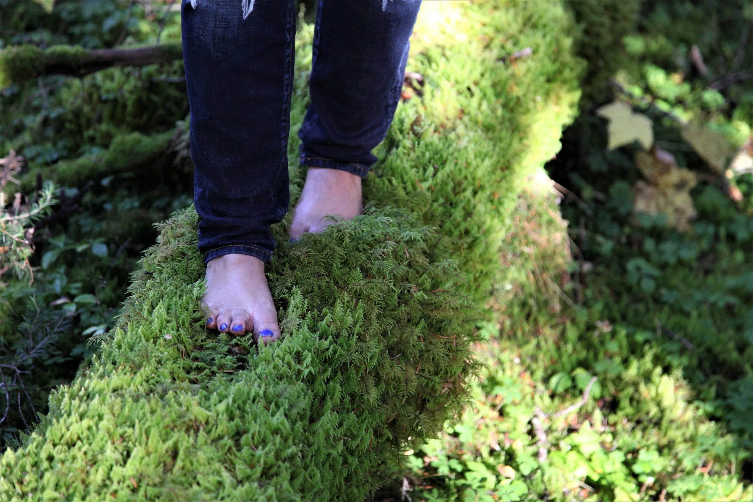 WHY NATURE HEALS US IN WAYS NOTHING ELSE CAN