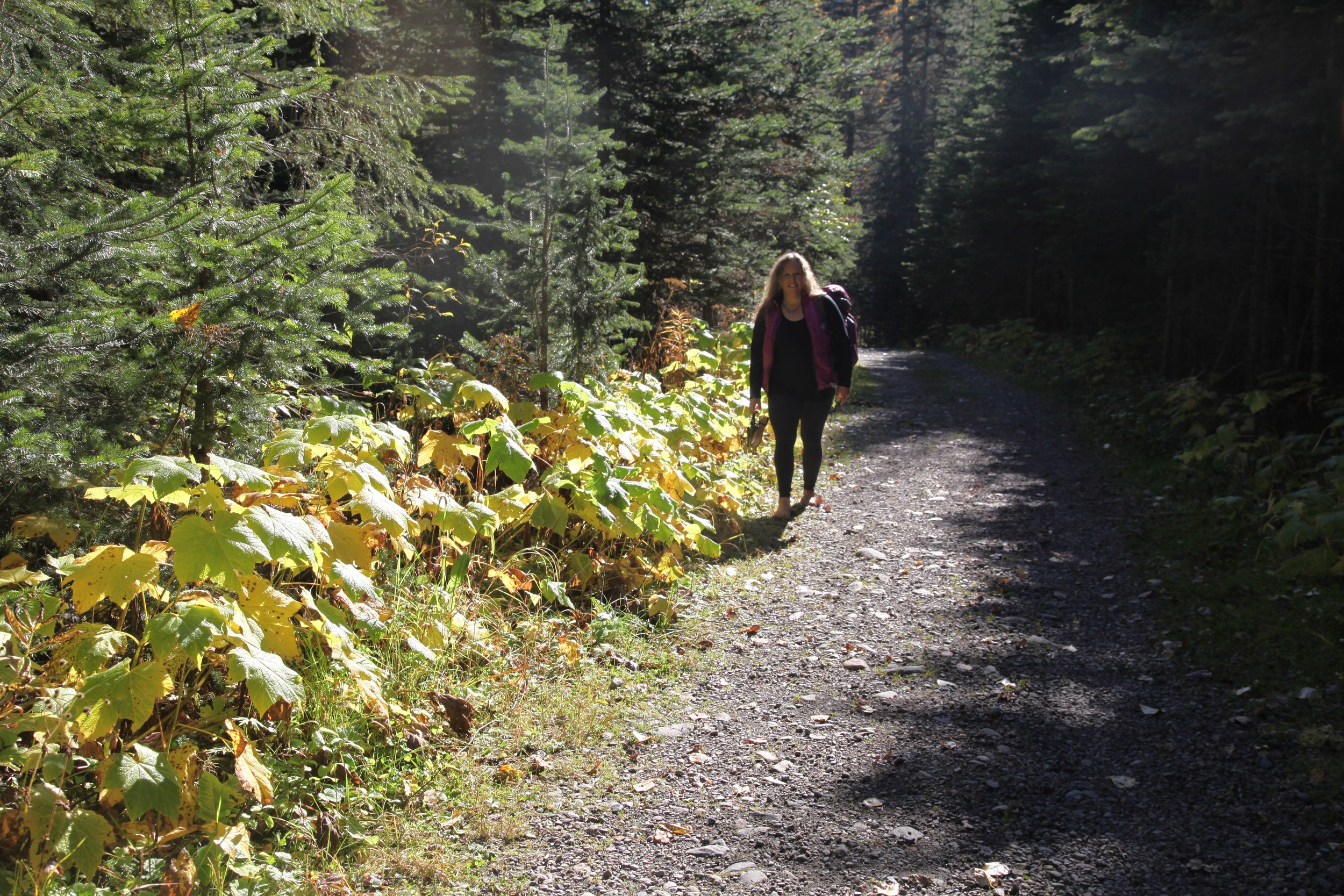 Walking Your Own Path: The Power of Authentic Healing Beyond Four Walls
