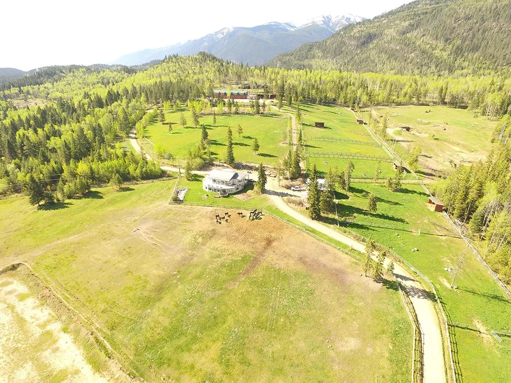 Aerial view of a rural property with a house, green fields, a fenced grazing area, and a forested landscape with mountains in the background.