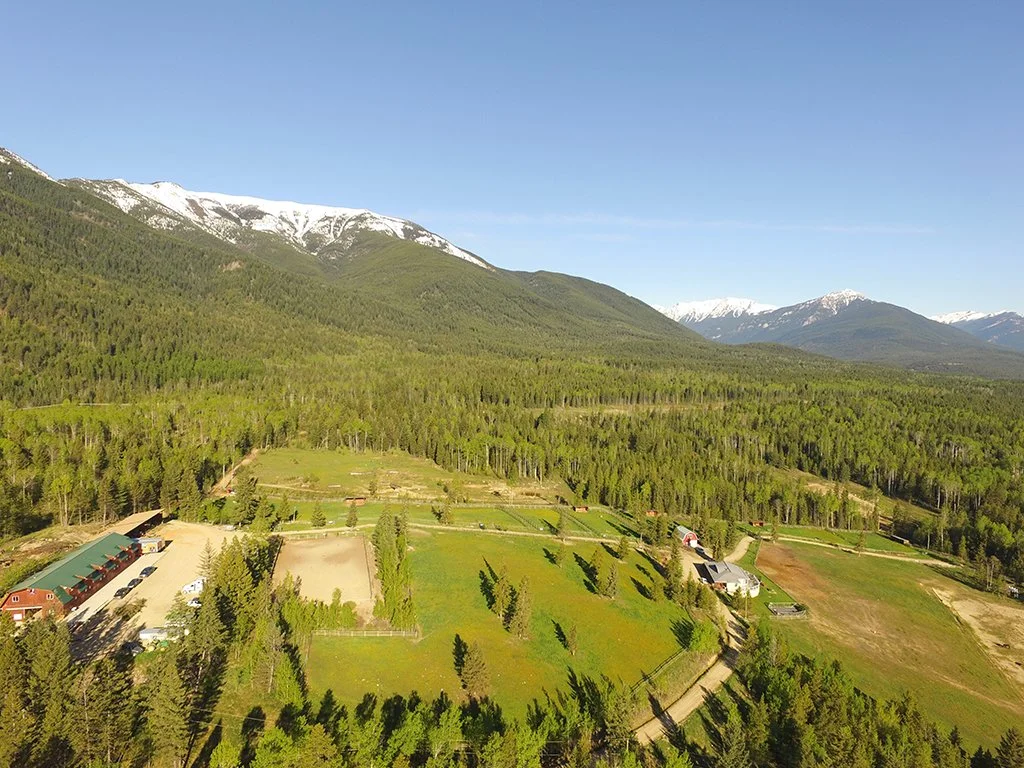 Aerial view of a rural area with green fields, trees, small buildings, and snow-capped mountains in the background under a clear blue sky.