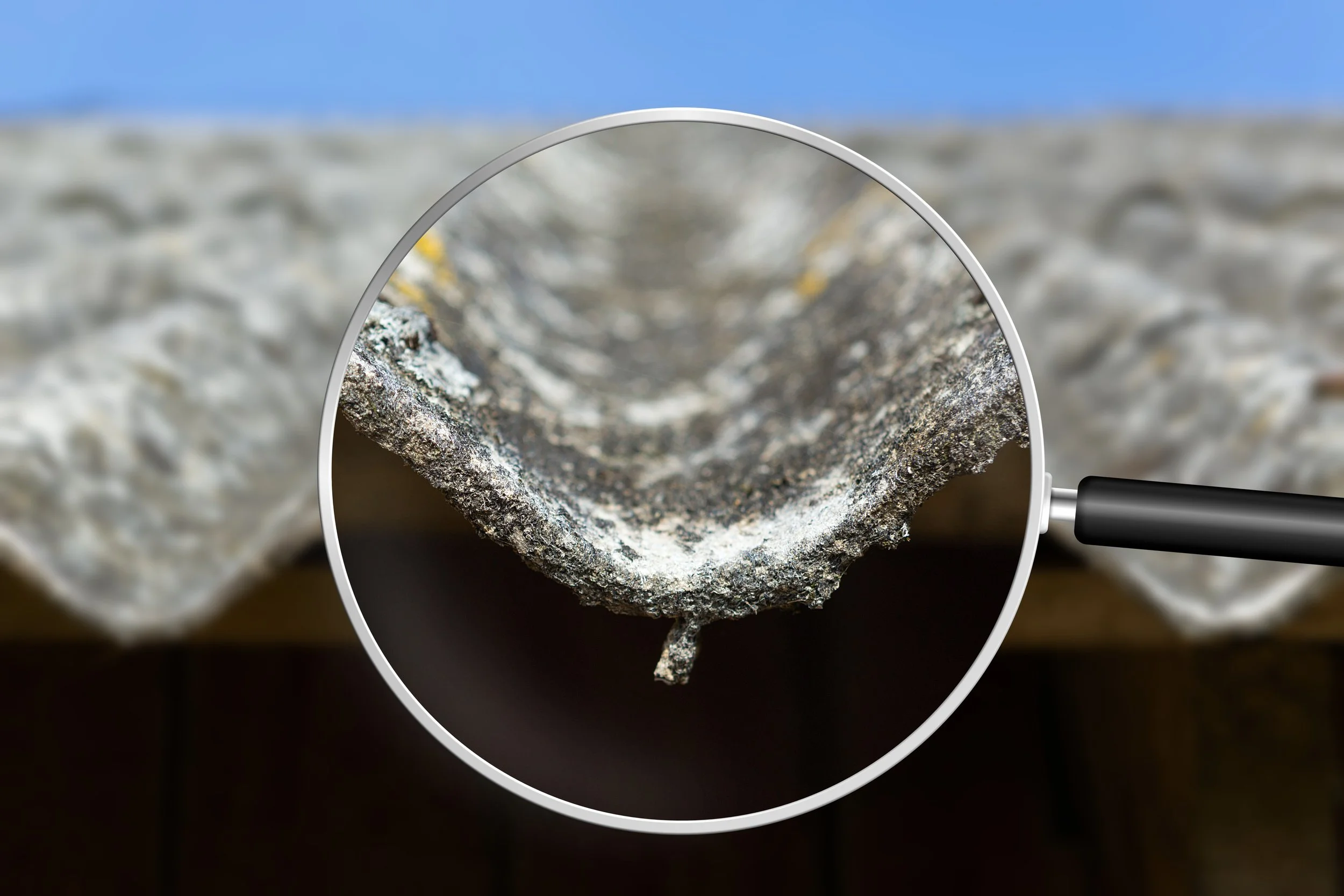 What to Do If Asbestos Materials Are Disturbed