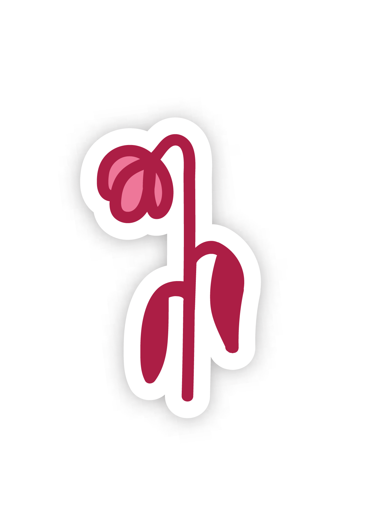 Graphic Design