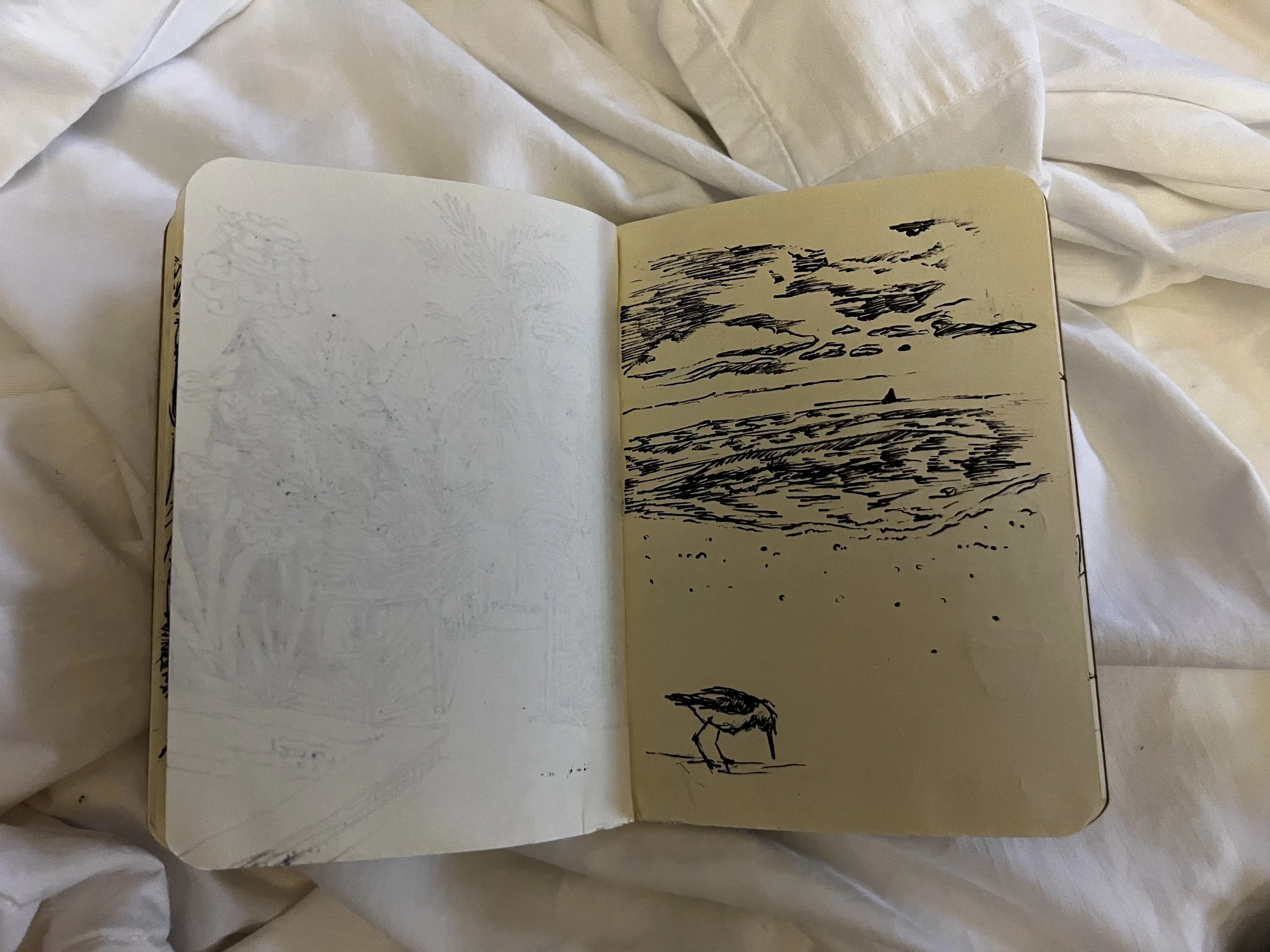 IMG_4514.jpeg