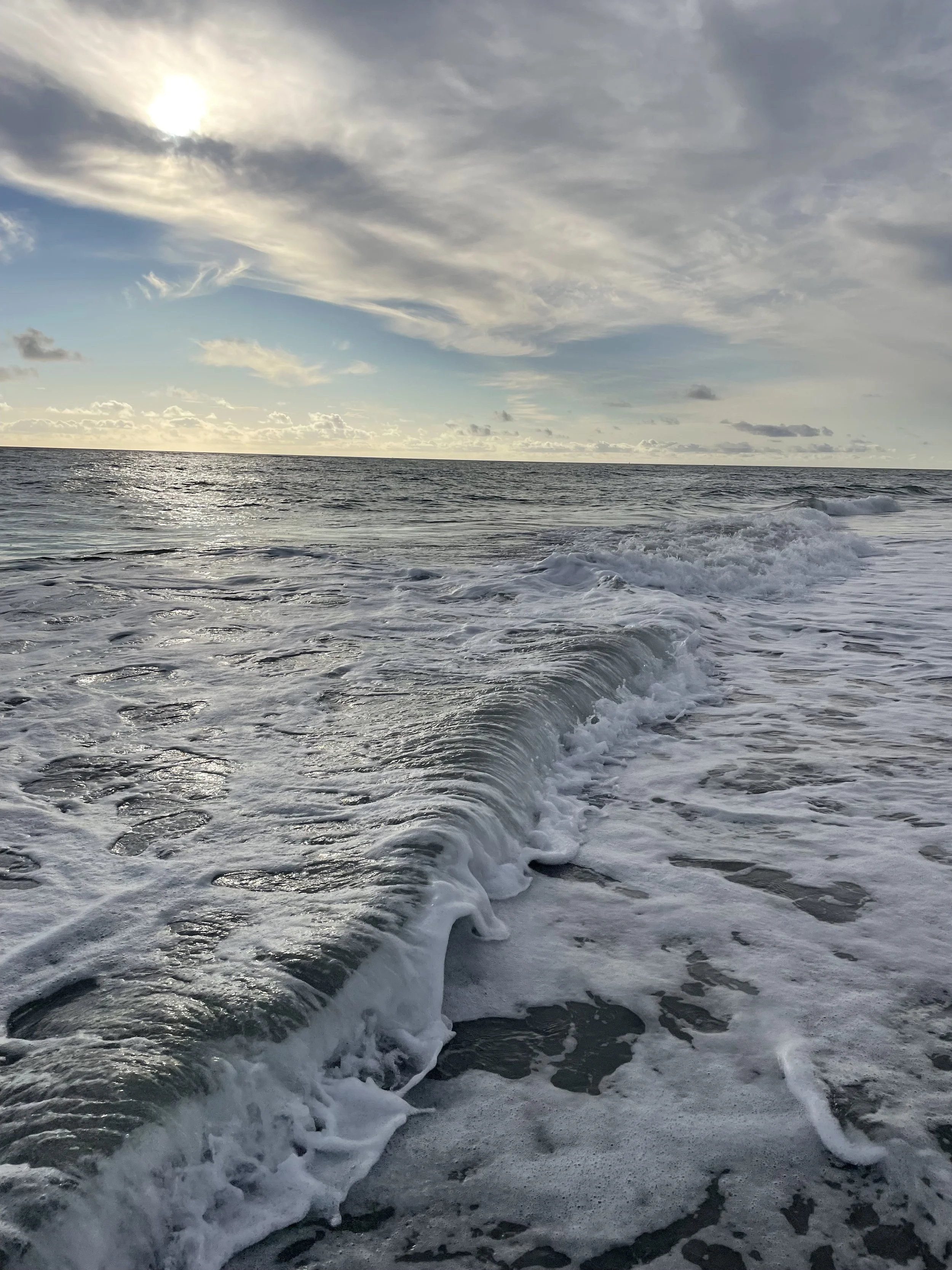 IMG_2728.jpeg