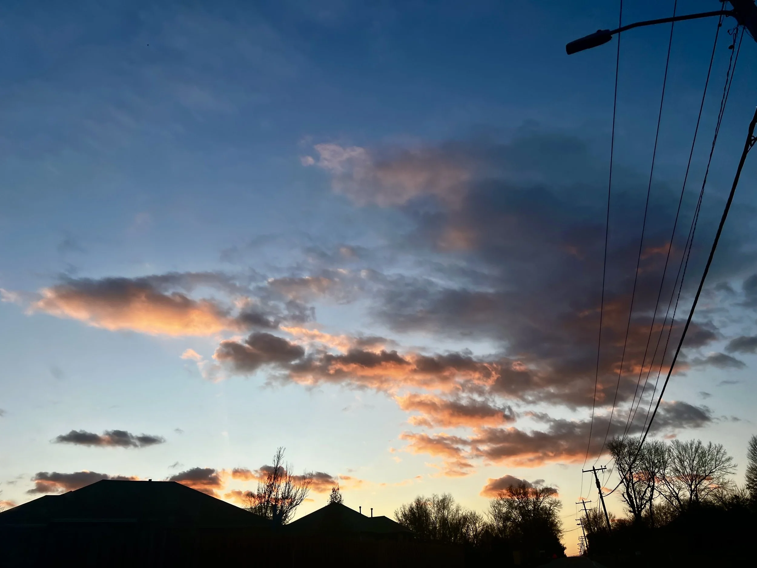 IMG_3631.jpeg