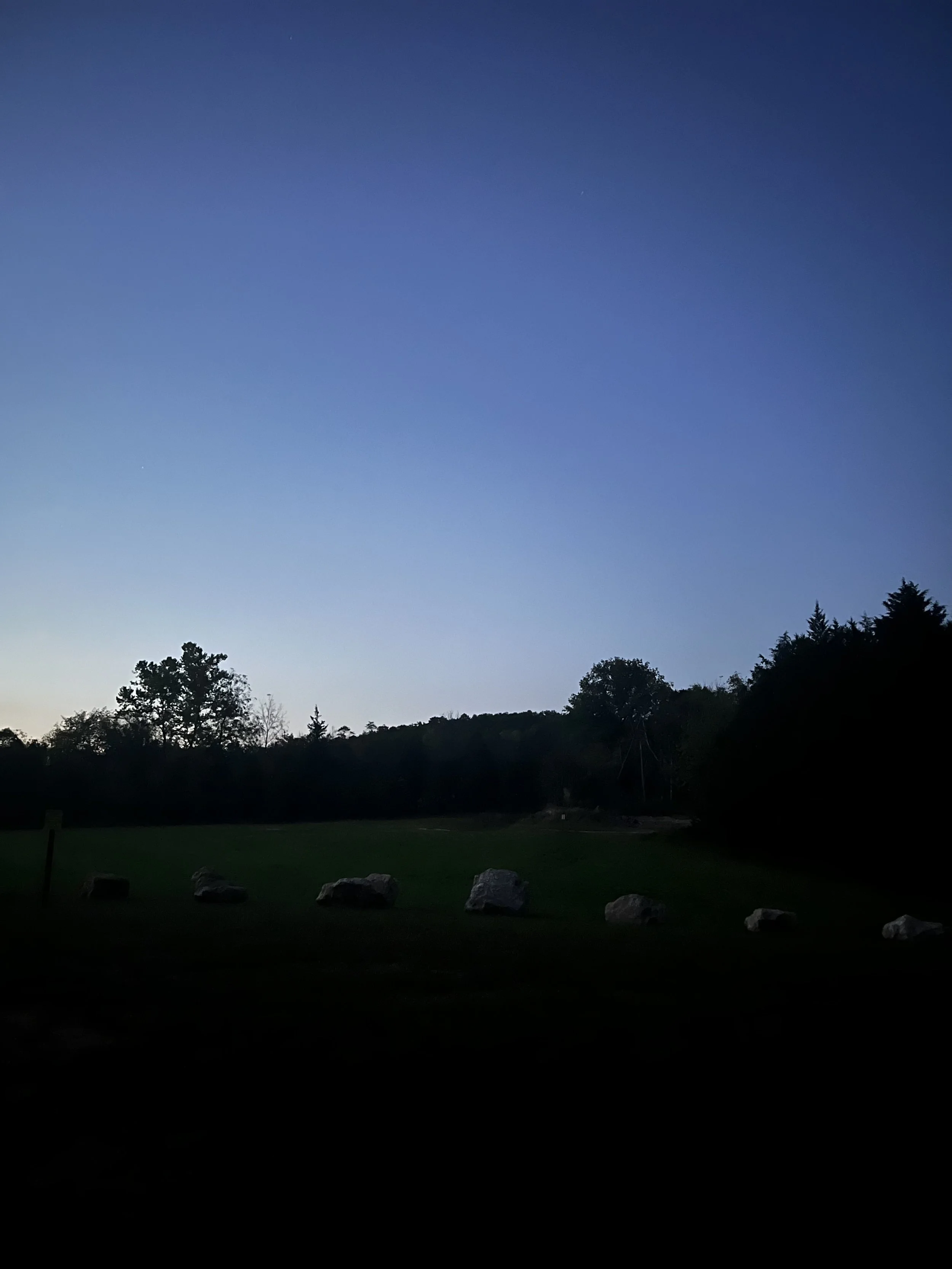IMG_3126.jpeg