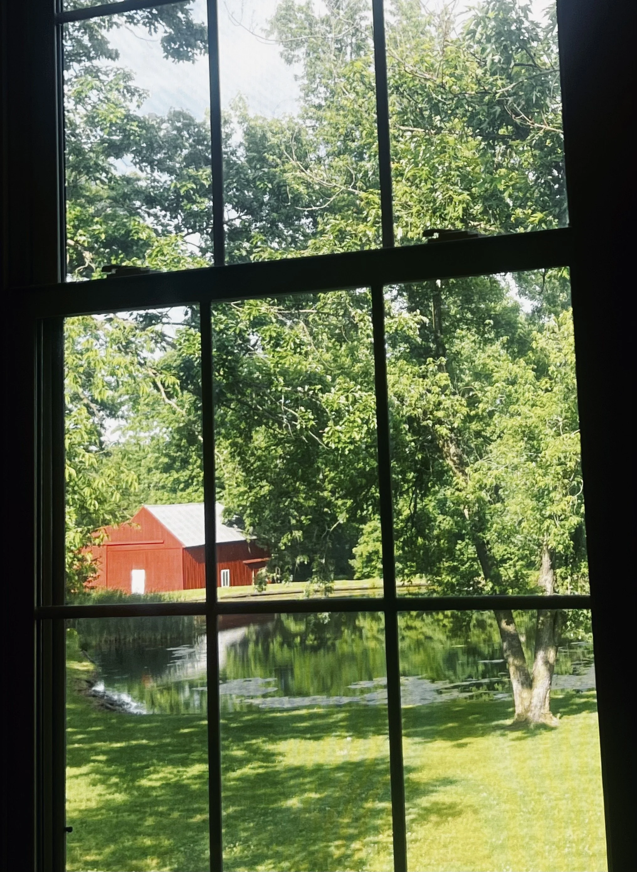 IMG_0928.jpeg