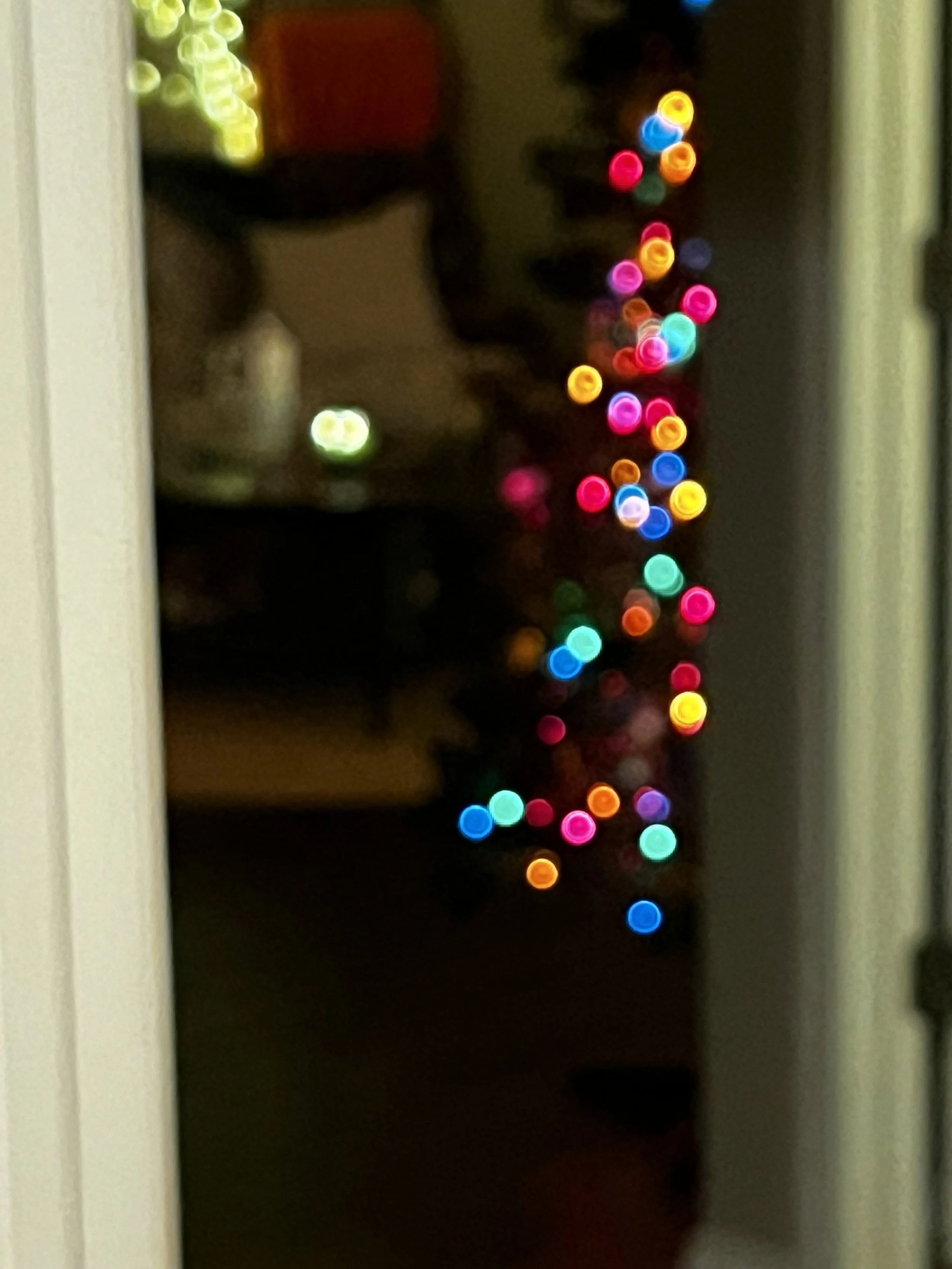 IMG_3684.jpeg