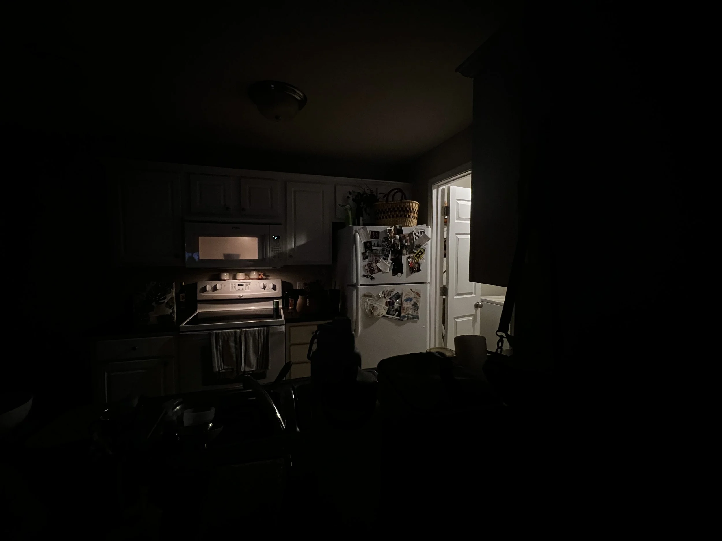 IMG_4316.jpeg