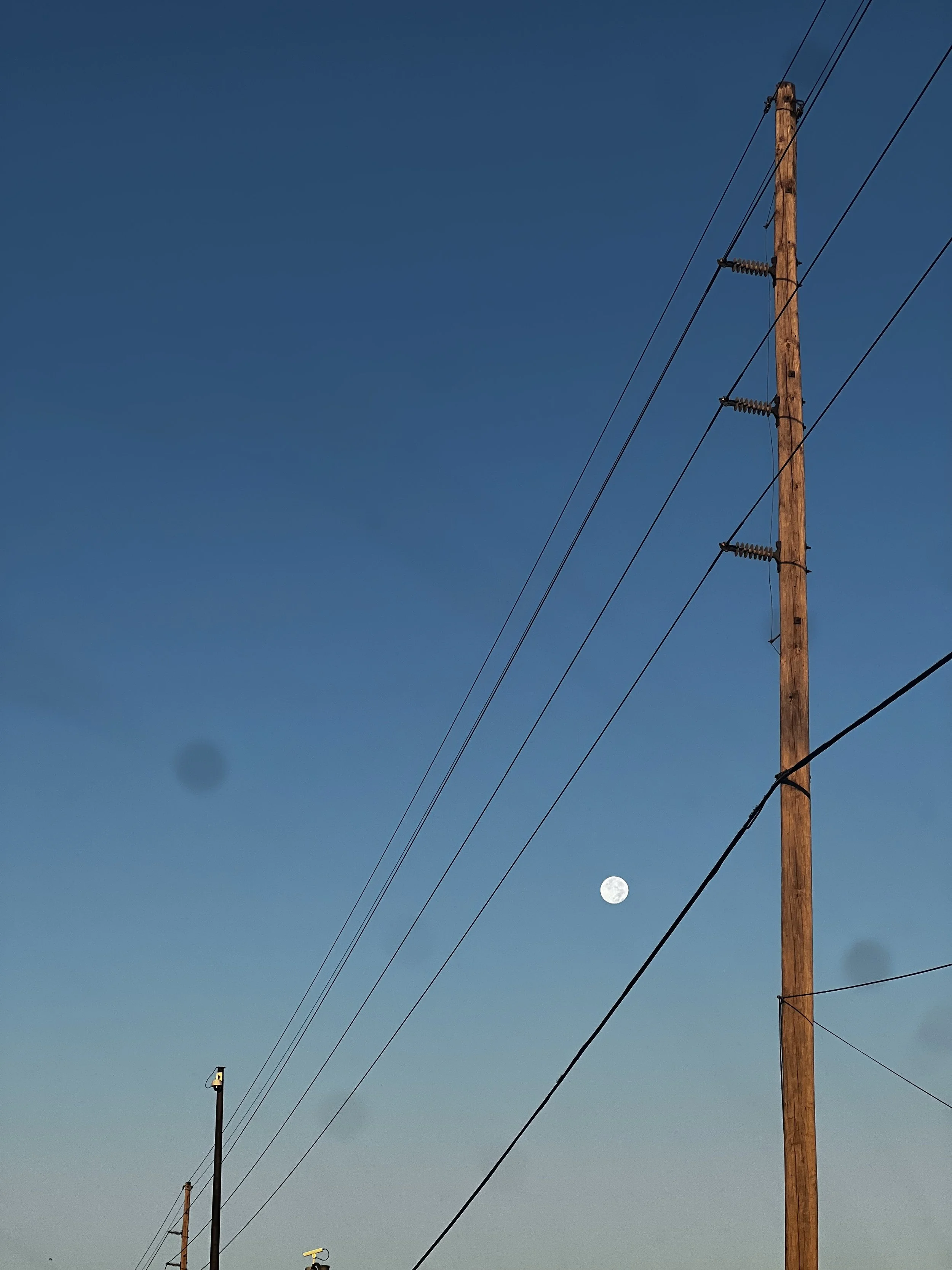 IMG_6228.jpeg