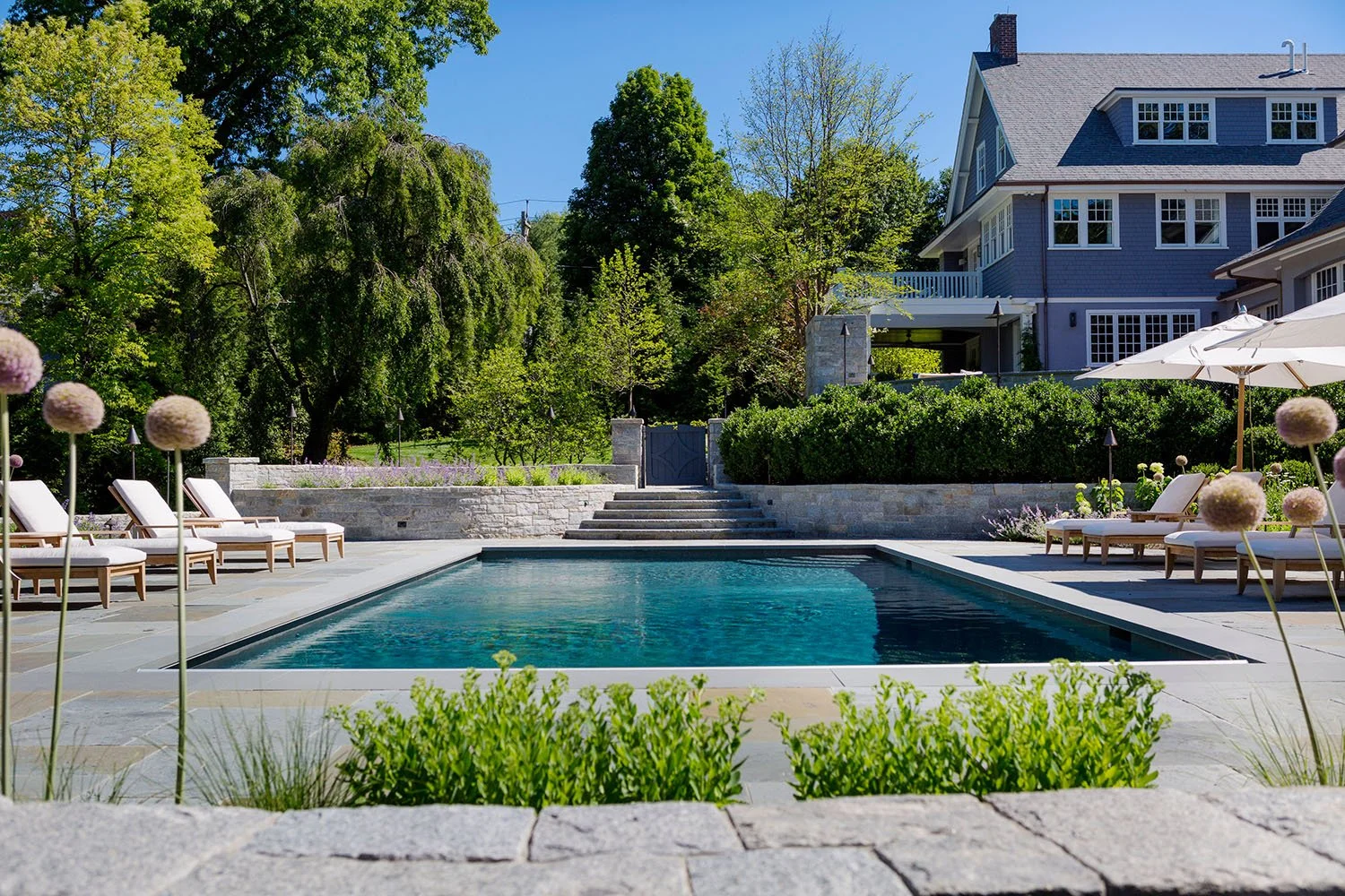 Paragon Landscape_Pool and Water Features_Paragon Landscape_Pool and Water Features_46Suffolk -340.jpg