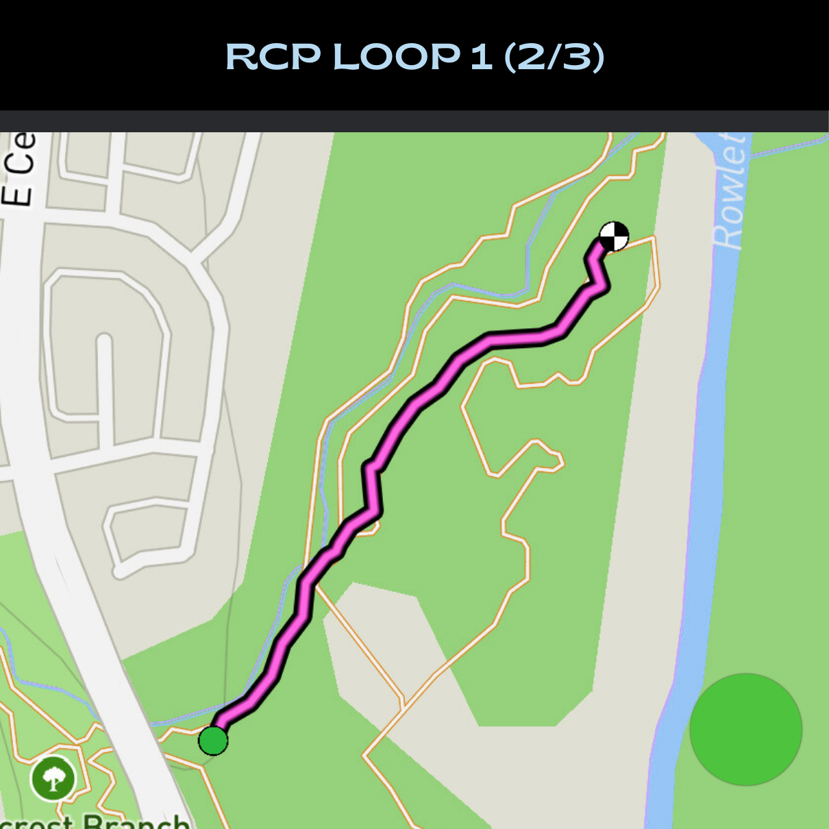 RCP Loop 1 (2_3).png