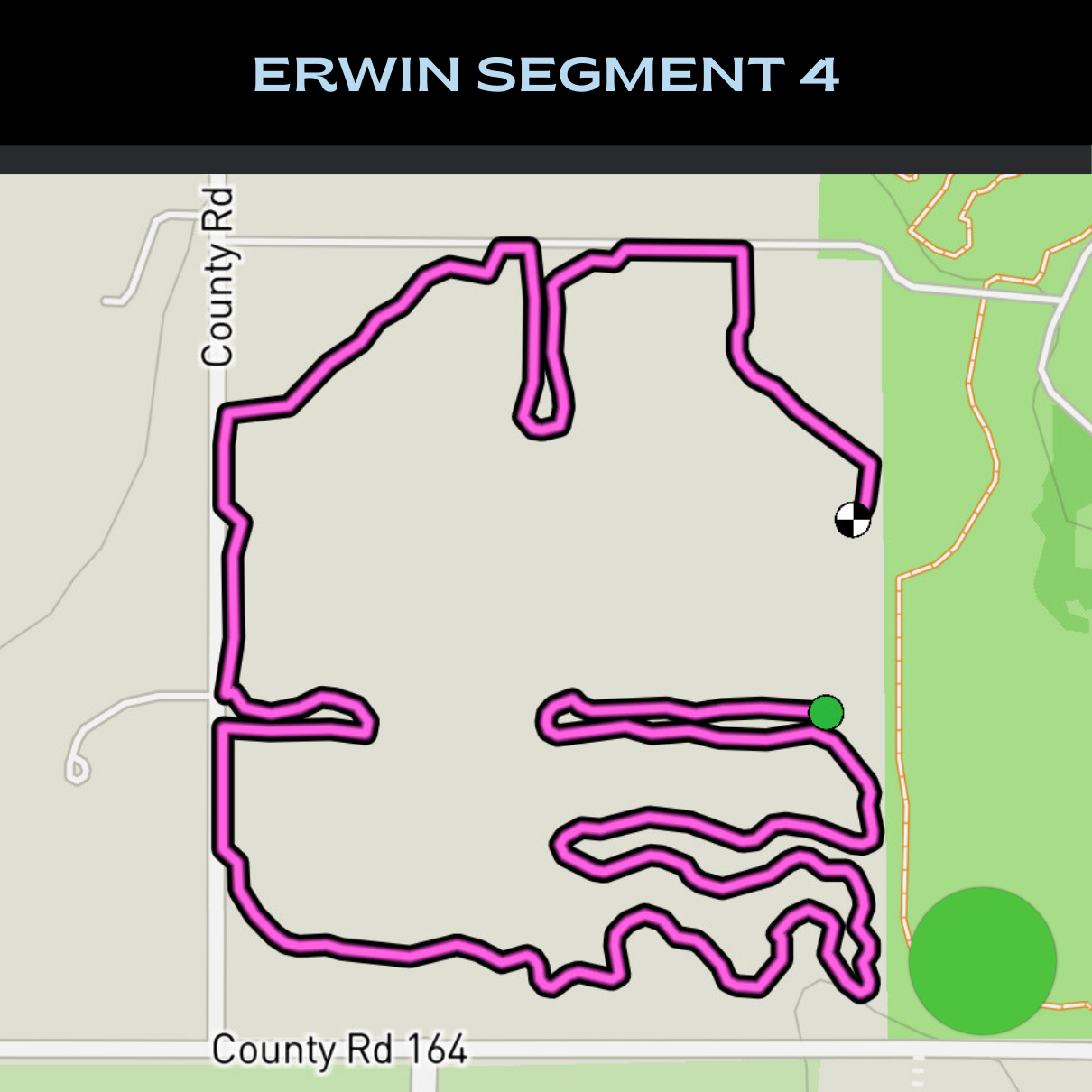 Erwin Segment 4.png