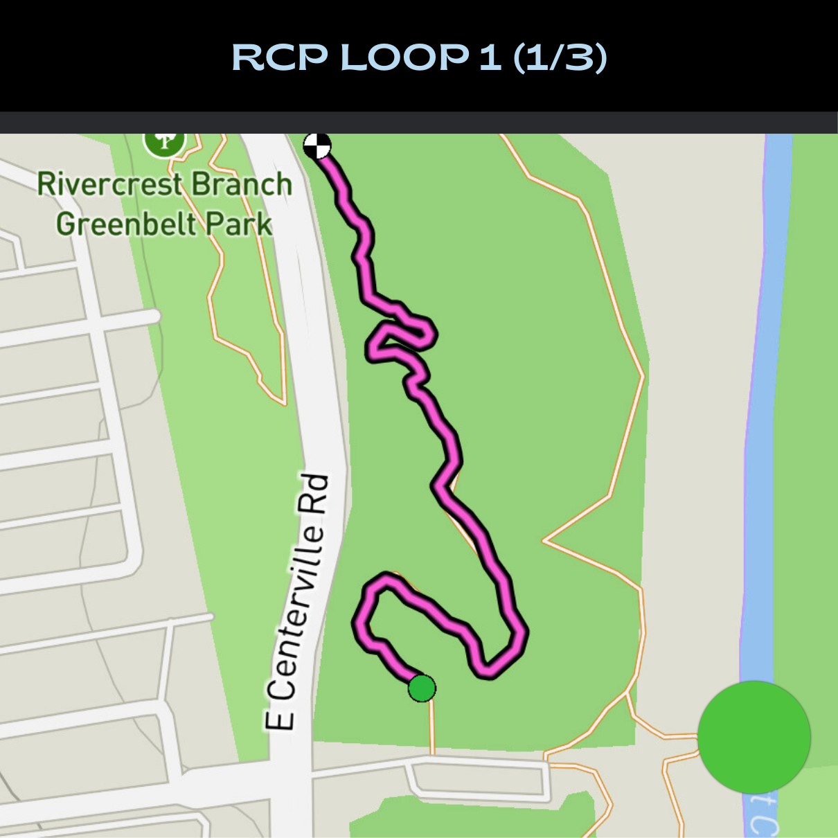 RCP Loop 1 (1_3).png