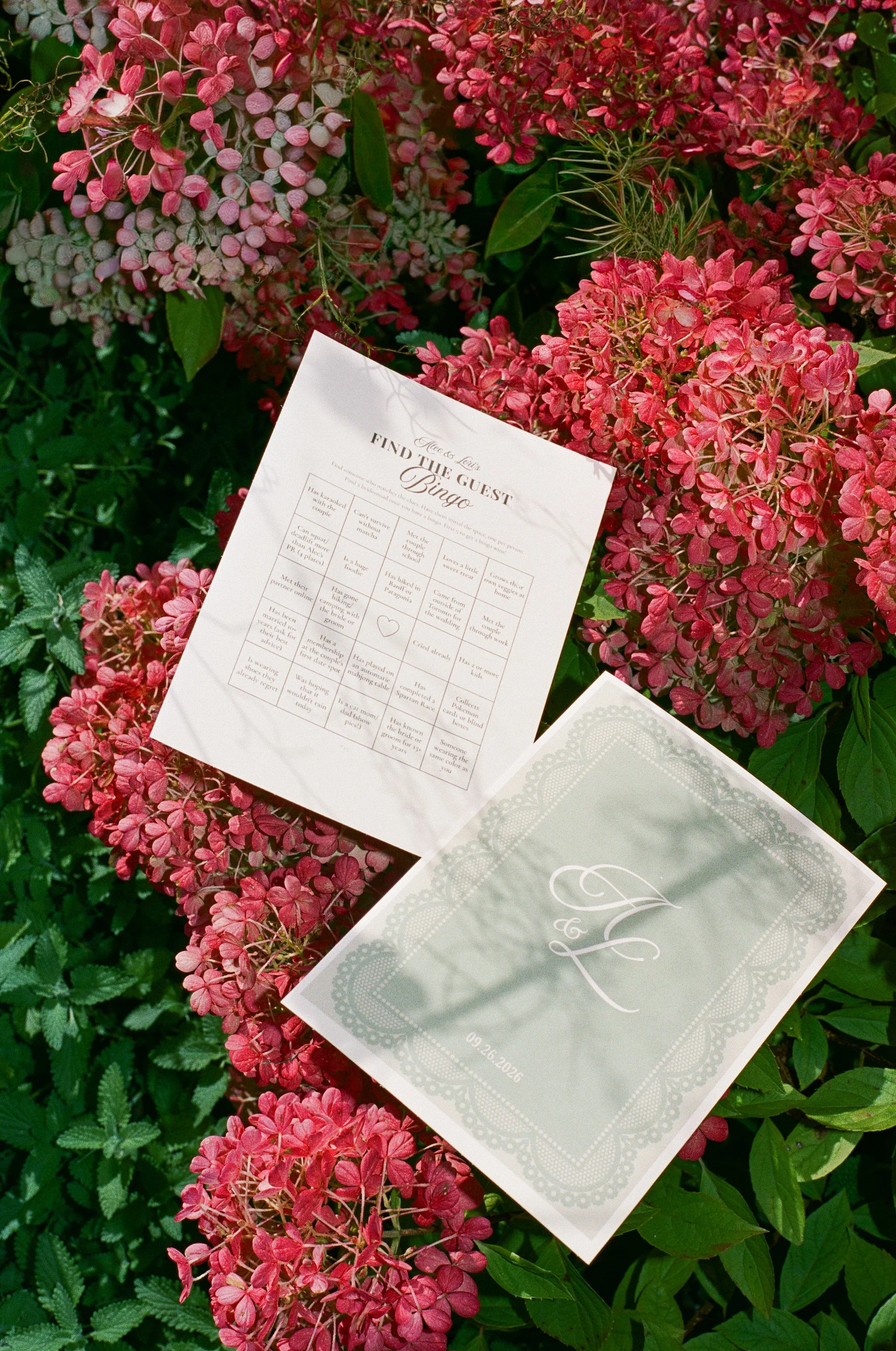A+LFilm-65.jpg