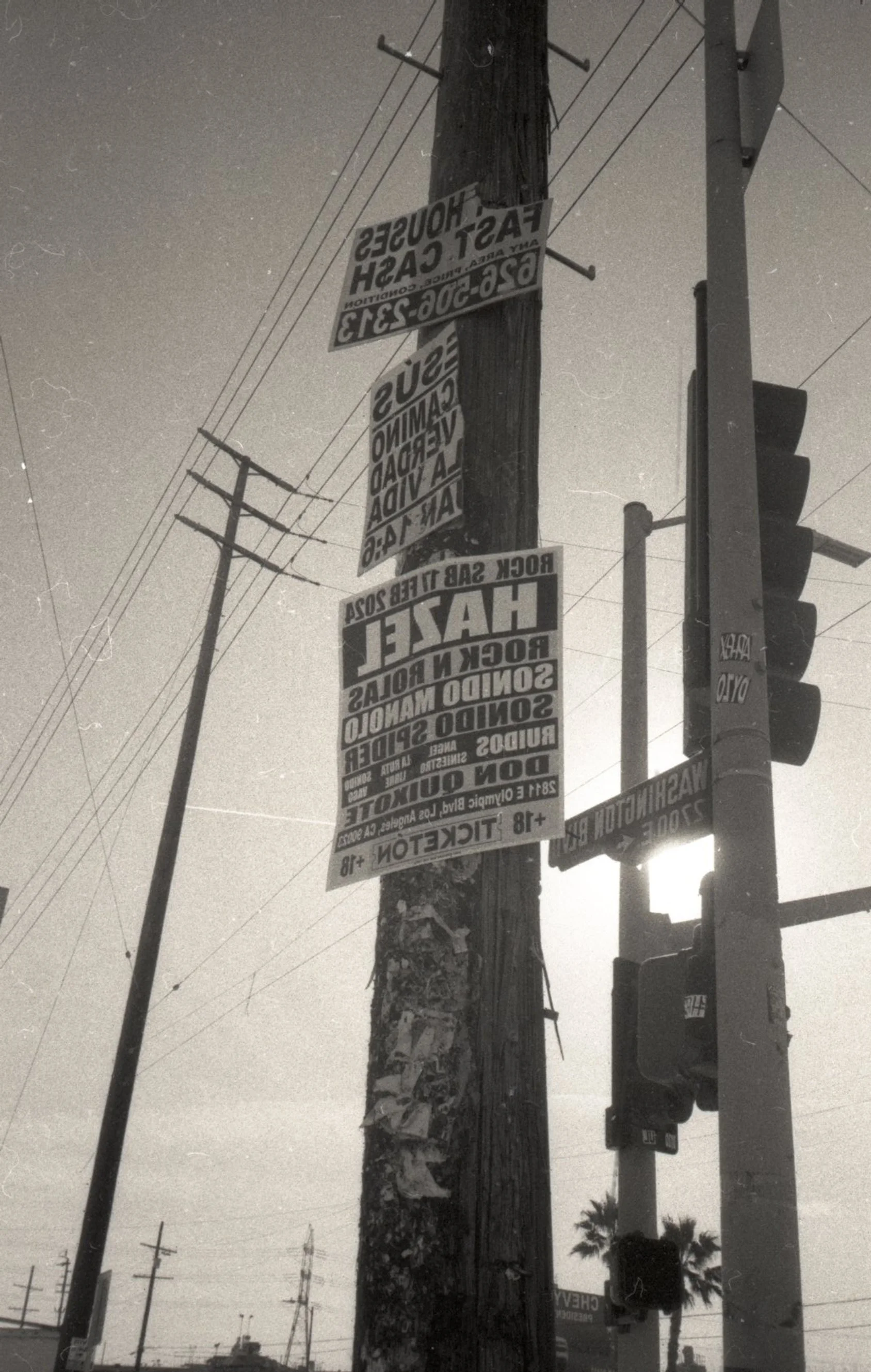 img20240301_10534453 2.jpg