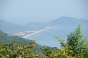 e80c6-dsc_0830.png