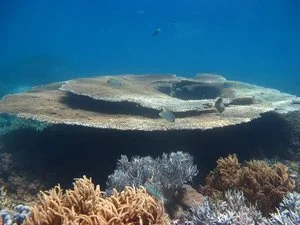 D8+Photo+Set+4+-+(4).jpg