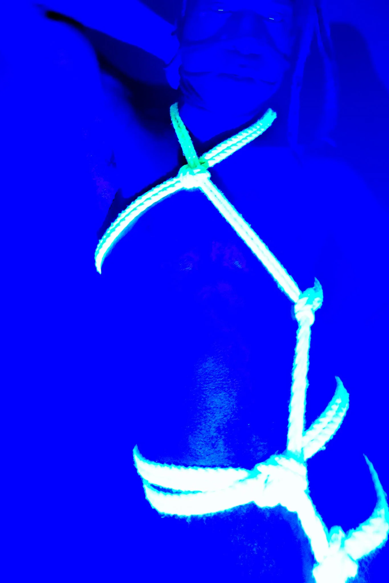 getting back to the basics 