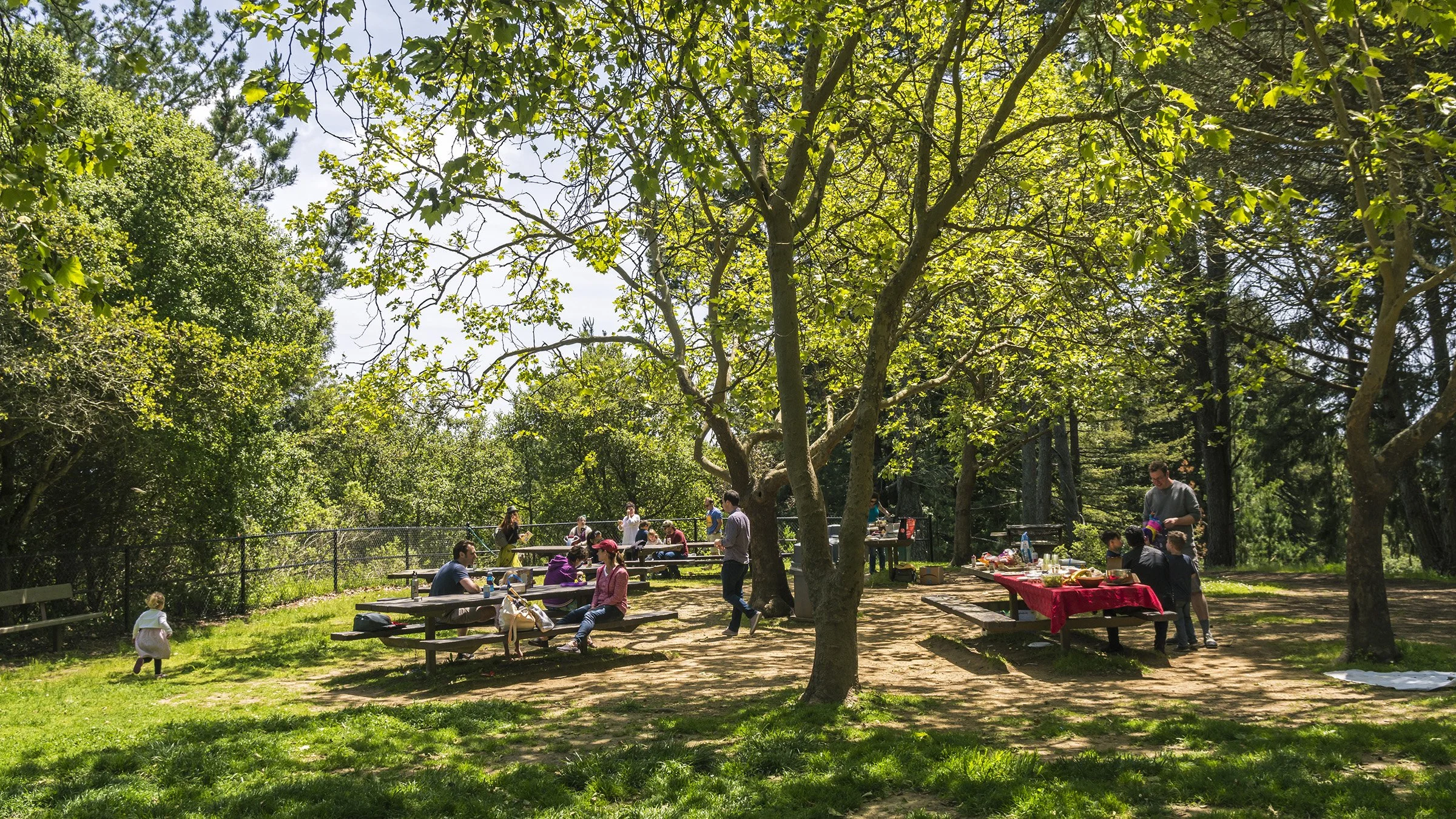 What Does it Mean to Live in a High-Trust Society?