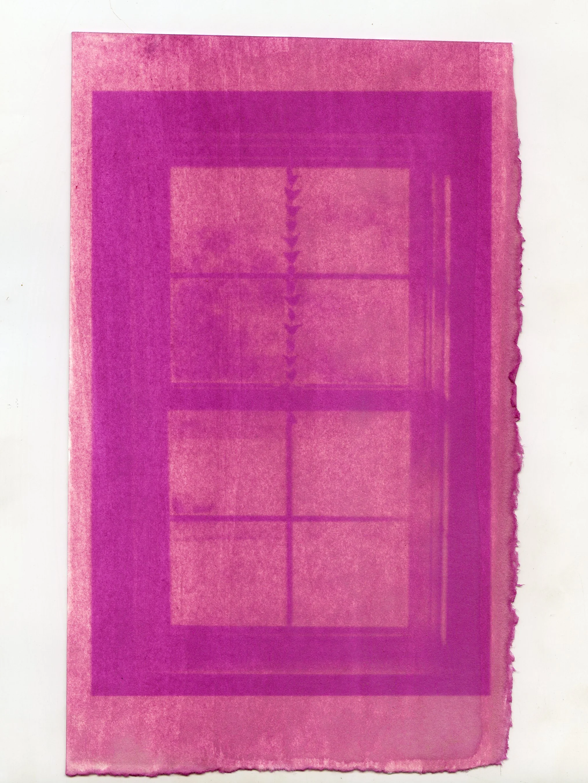 Window printed w/ Beets
