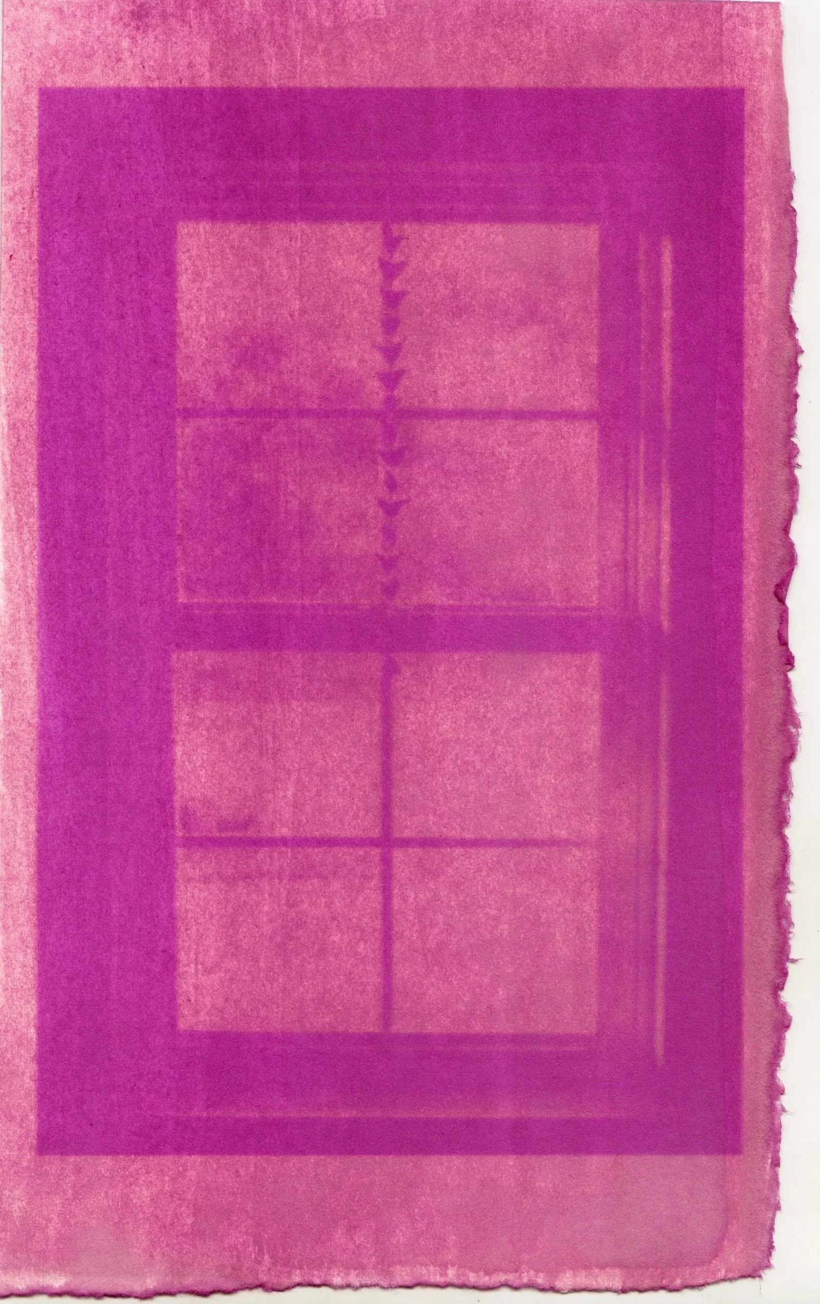 window+beets.jpg