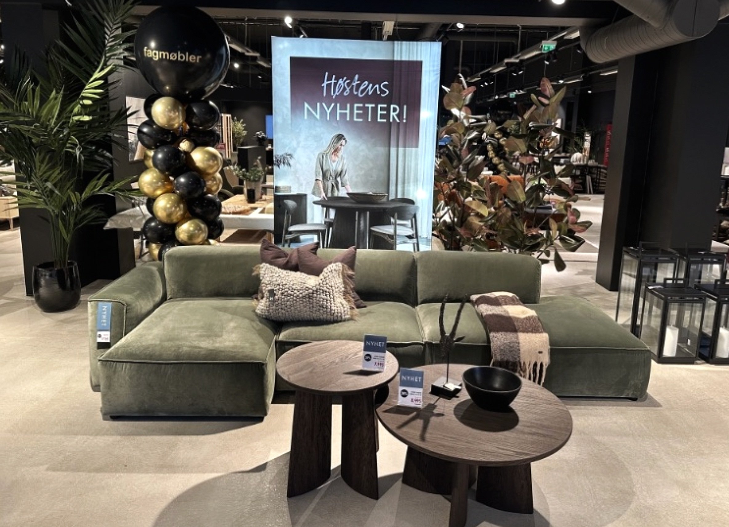 Skjermbilde 2025-01-03 kl. 09.16.13.jpg