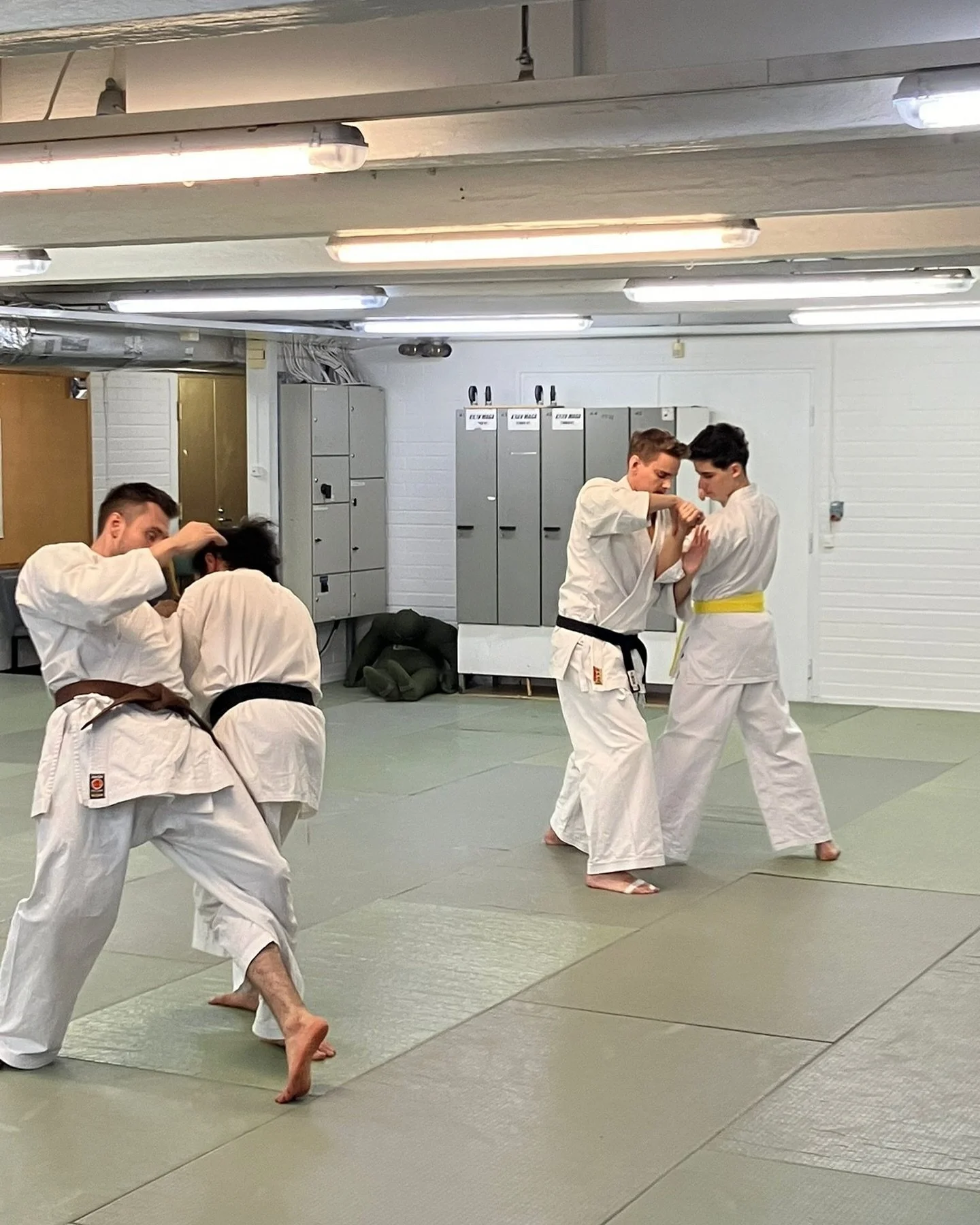 Seuran ensimm&auml;isen viikon harjoitukset ovat ohi! Ja mit&auml; liikunnan riemua n&auml;immek&auml;&auml;n 🙌🏻 Puhumattakaan monipuolisesta itsepuolutuksen kehitt&auml;misest&auml;🥋

Harjoituksia l&ouml;ytyy joka l&auml;ht&ouml;&ouml;n: 

Karate