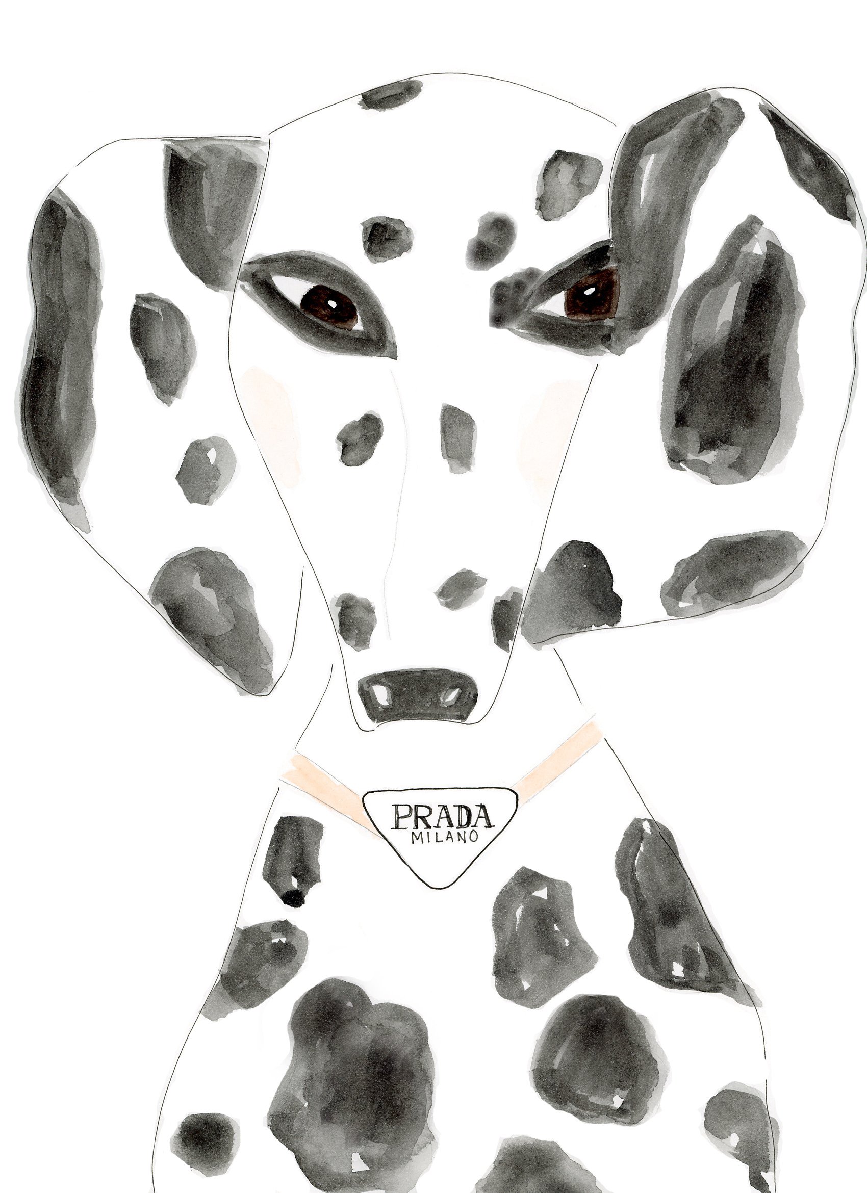 Prada Dalmatian