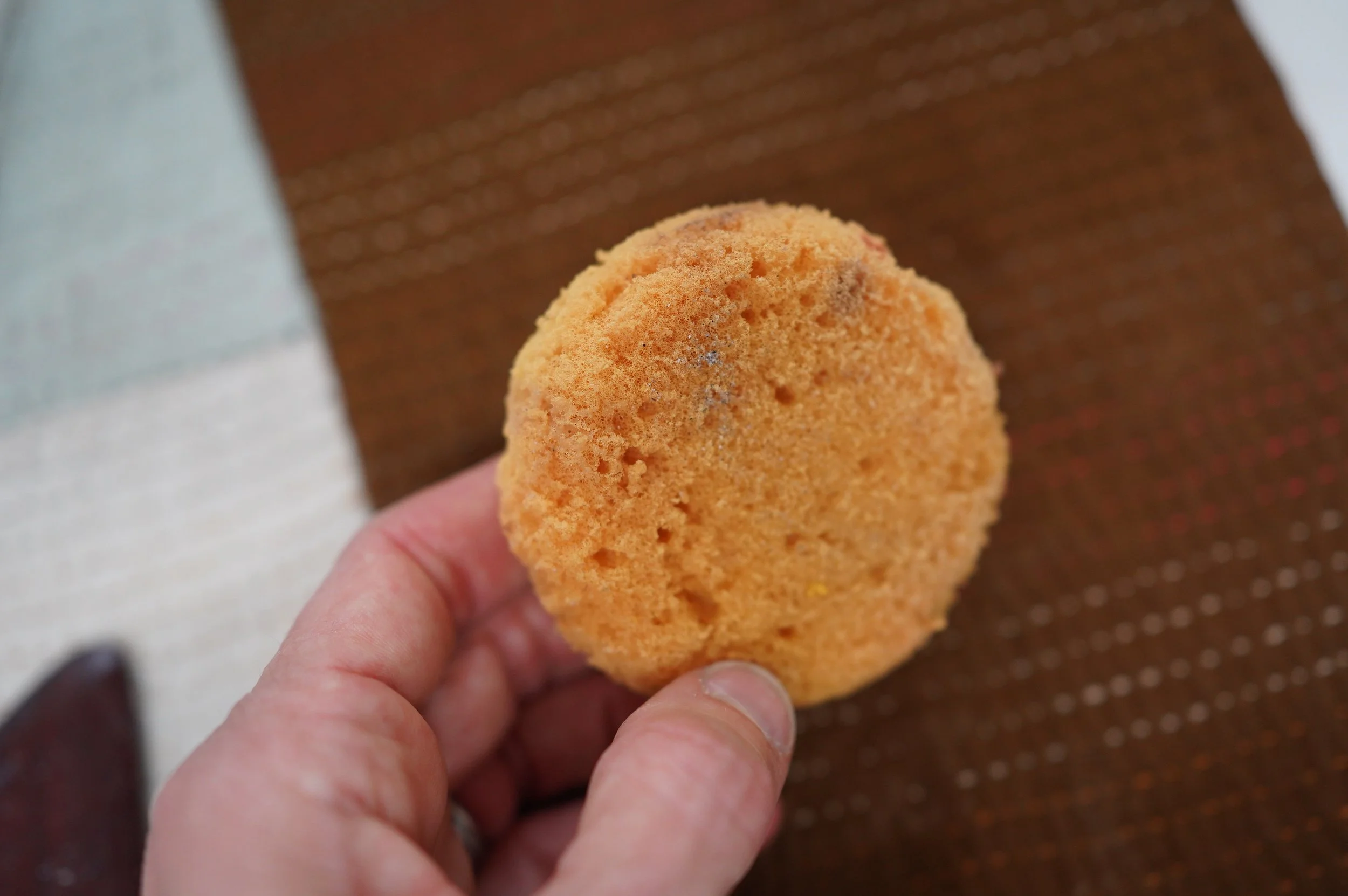 A hand holds a small round sponge.