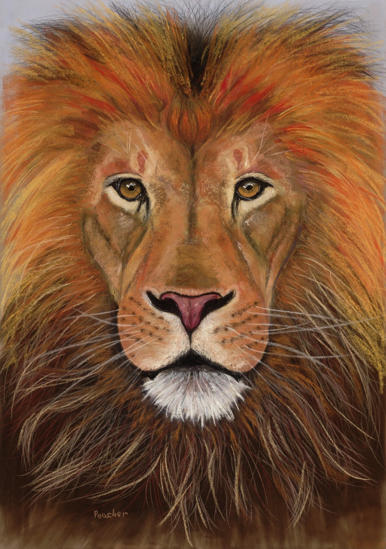 Lion, the king Original pastel painting
