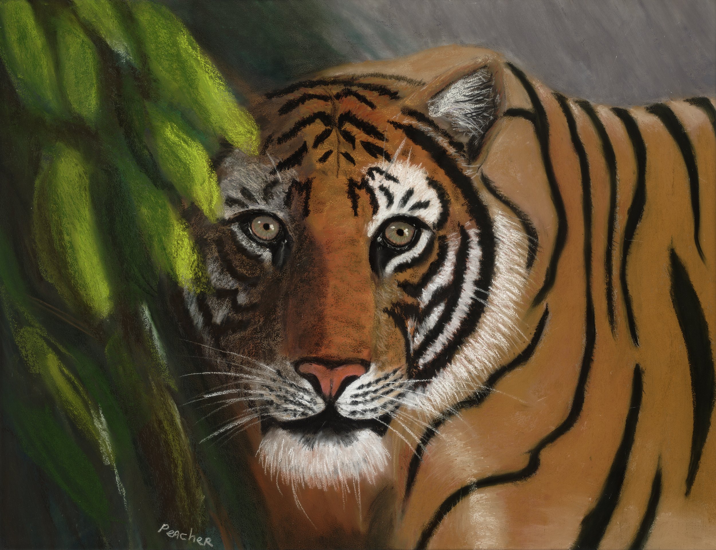 Tyger Tyger original pastel painting