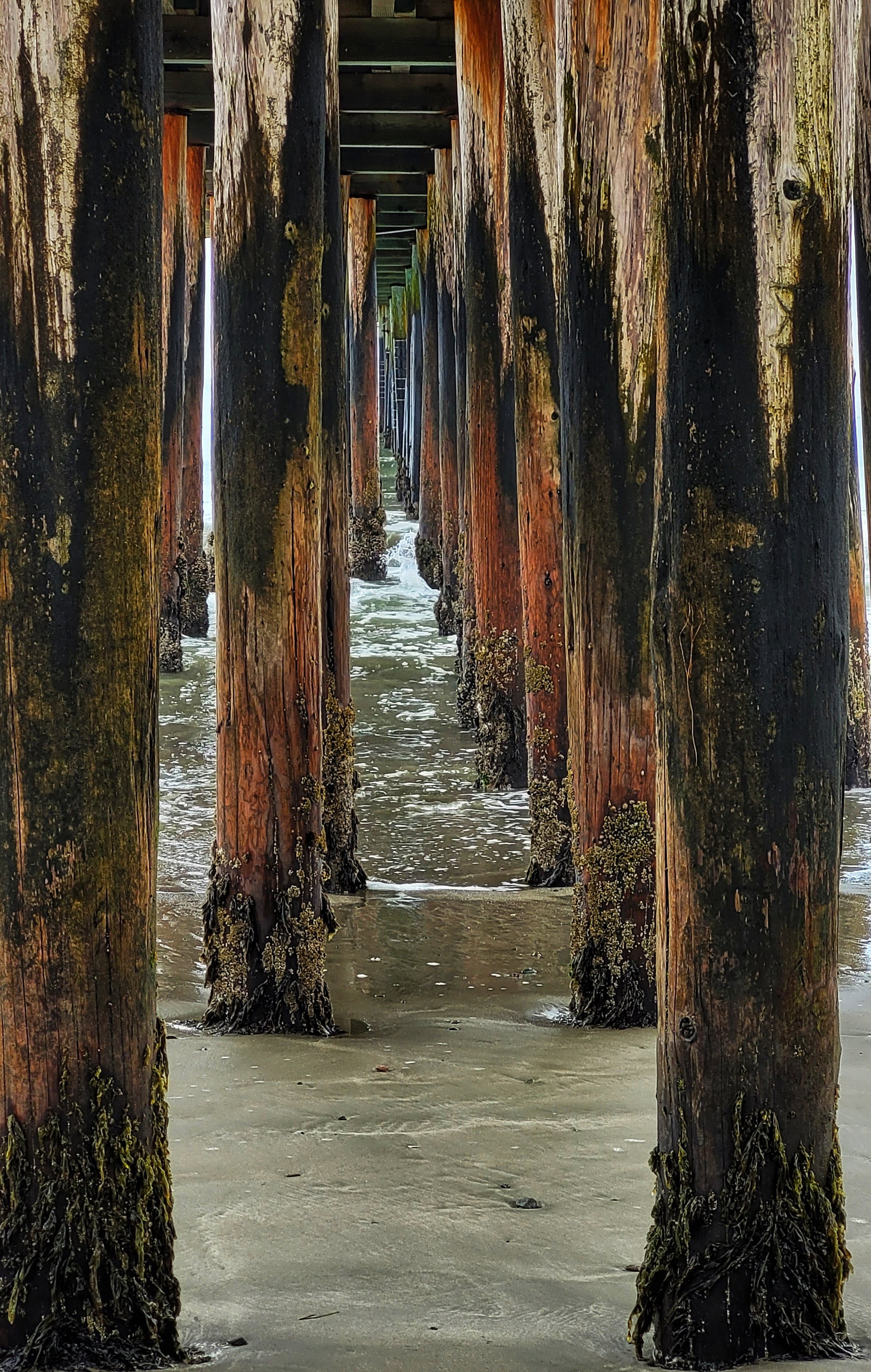 pier in cayucos.jpg