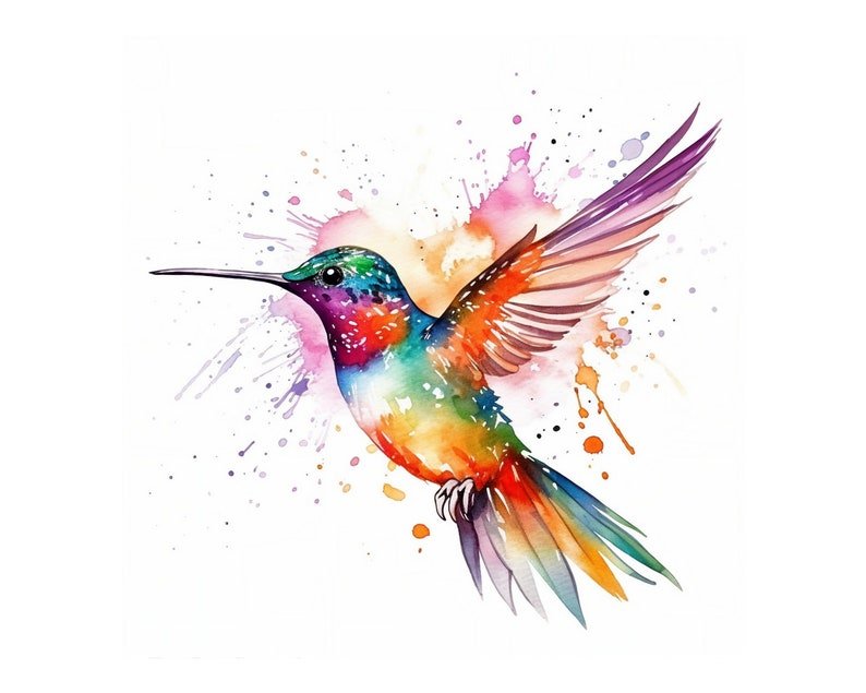 The Hummingbird’s Way