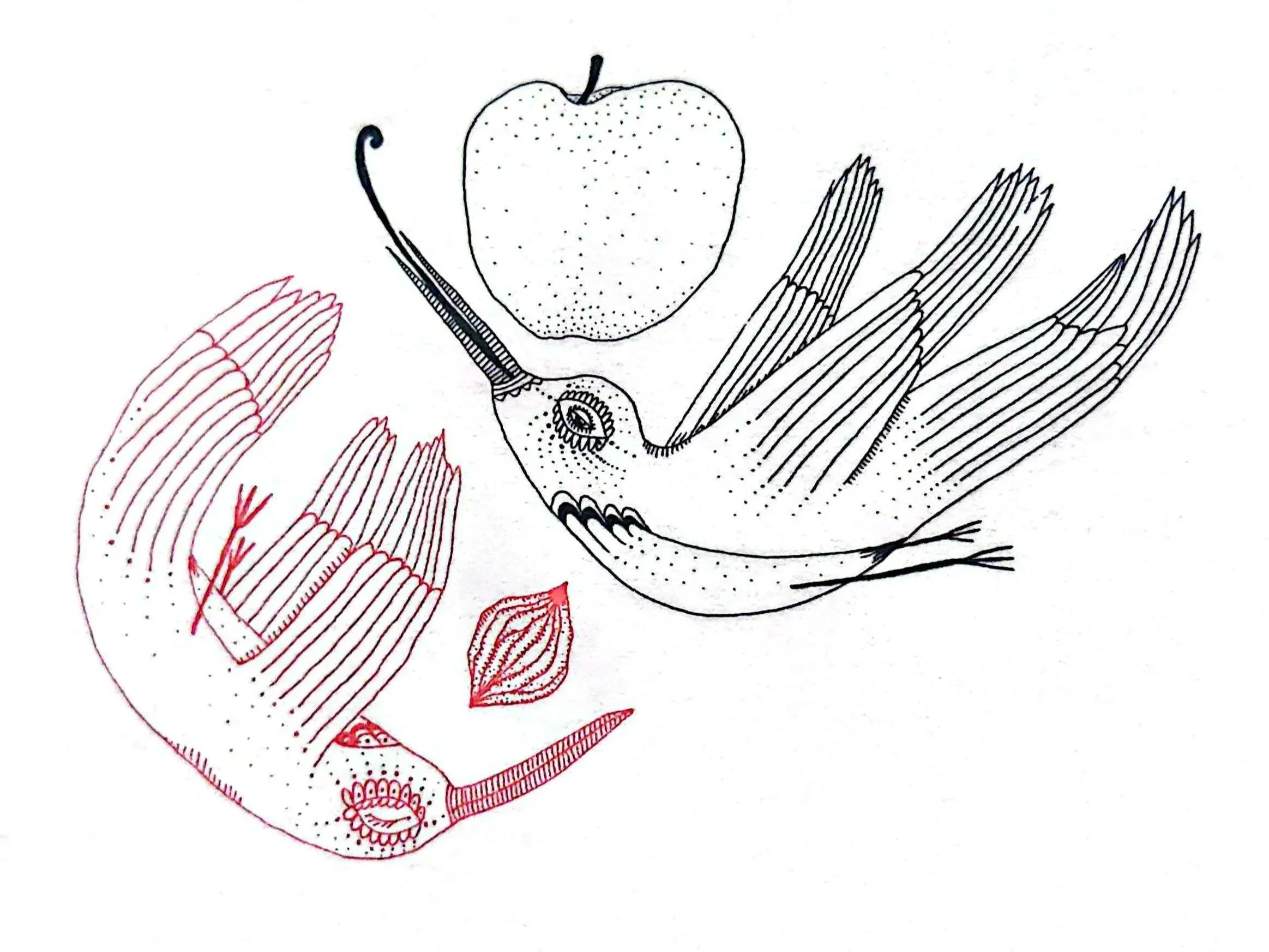 The Hummingbird’s Way