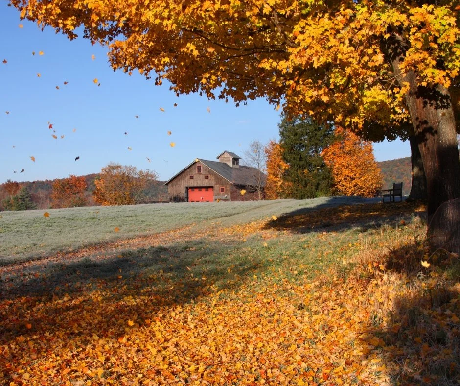 Made in CT: Fall 2025