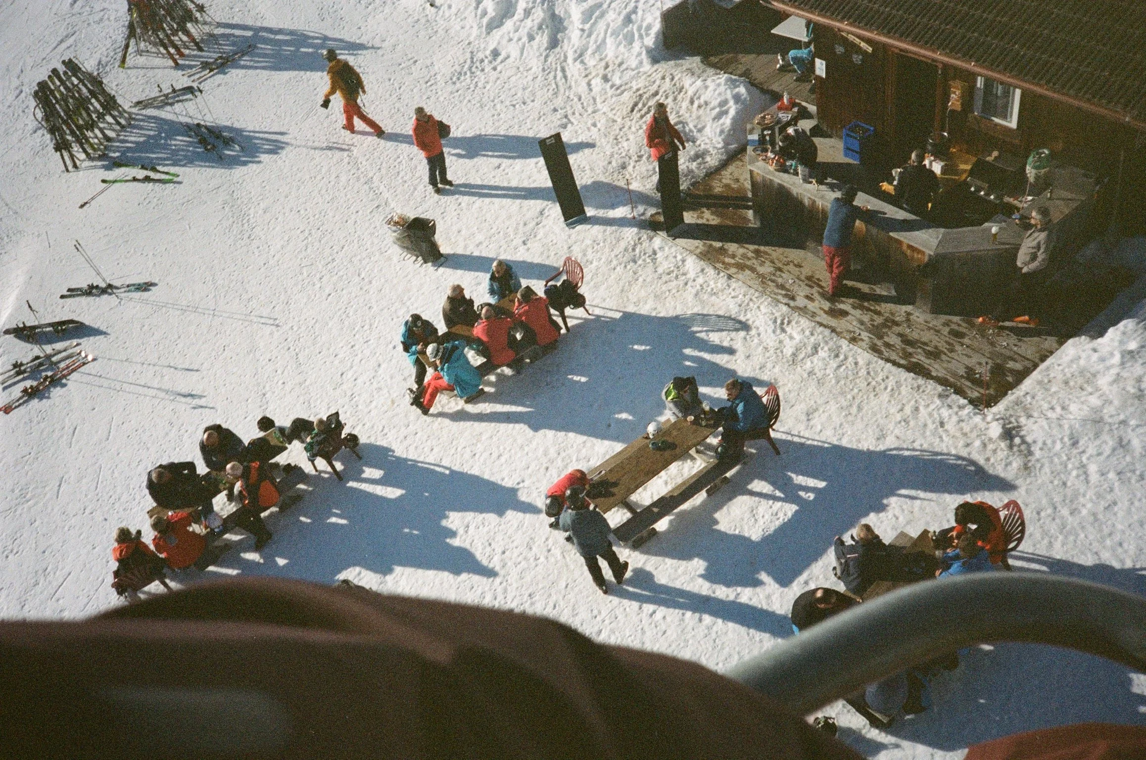 Websites & Notifications