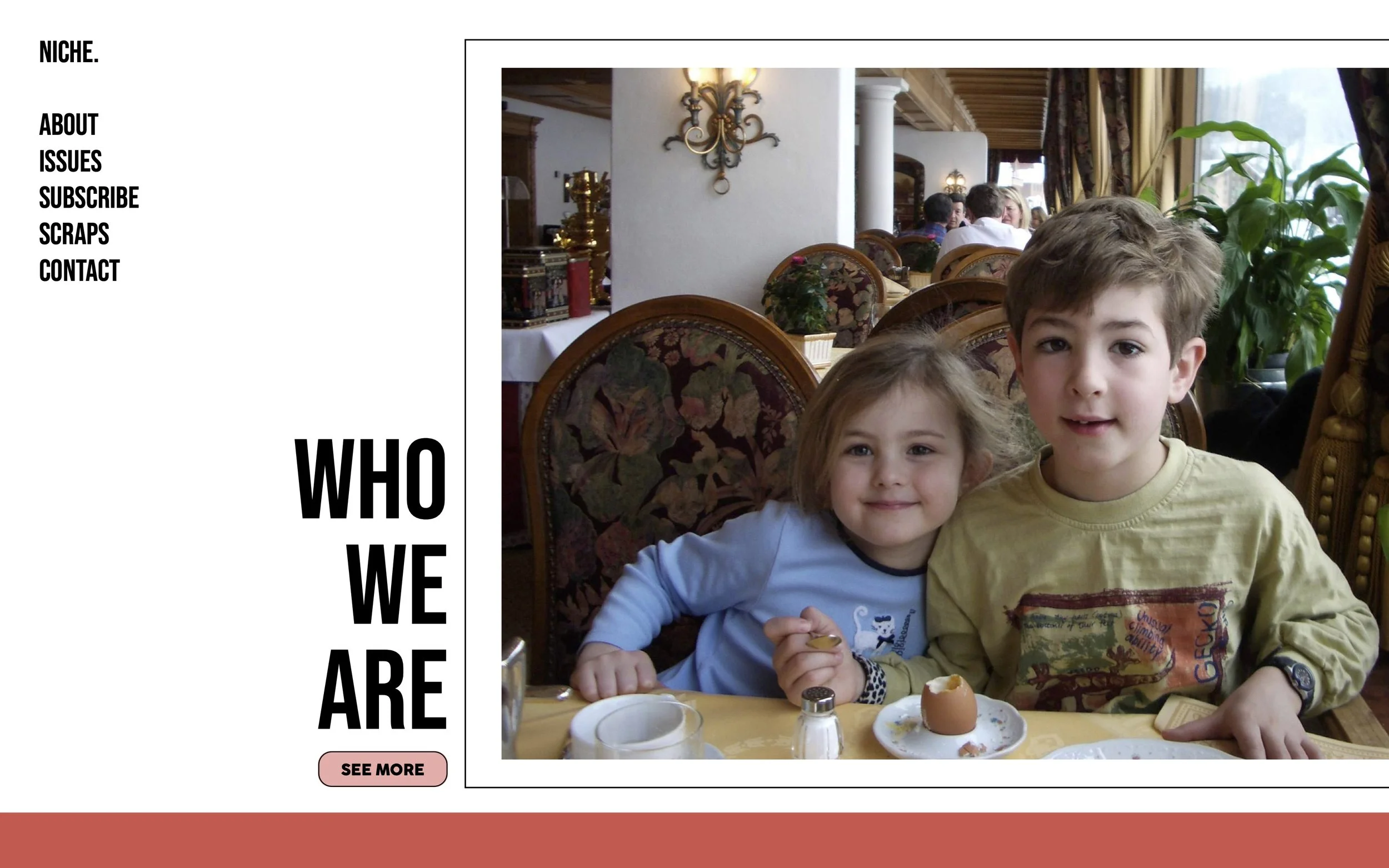 Niche Magazine Website