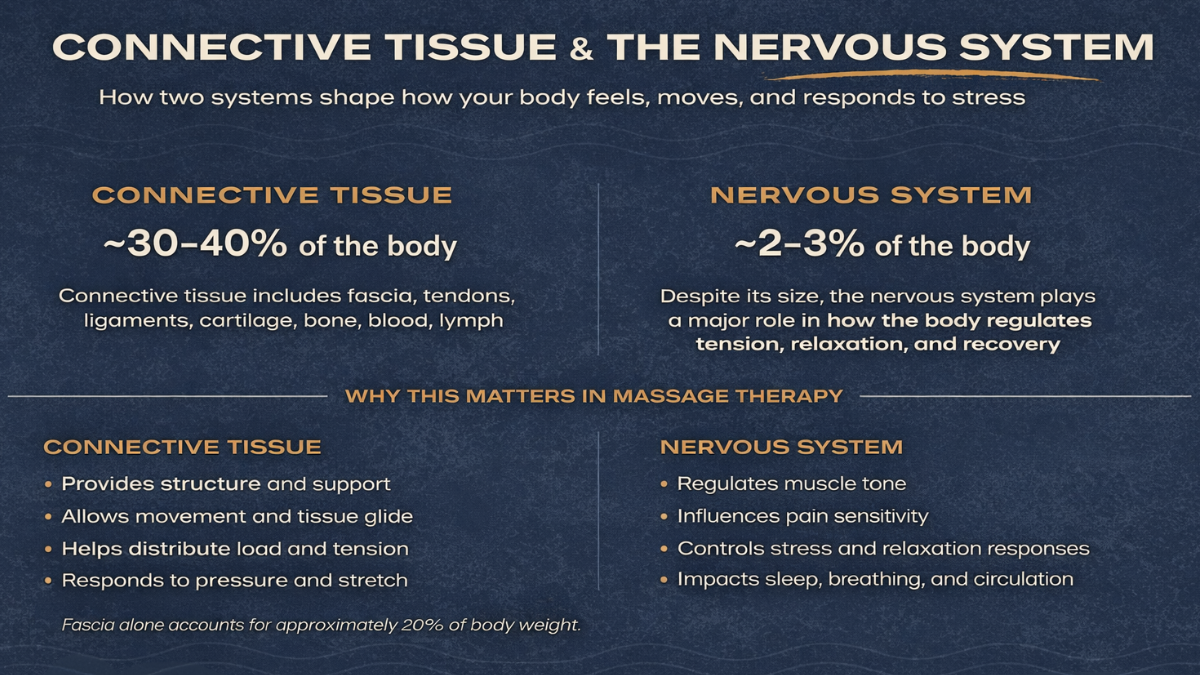 Massage therapy is more than Relaxation 