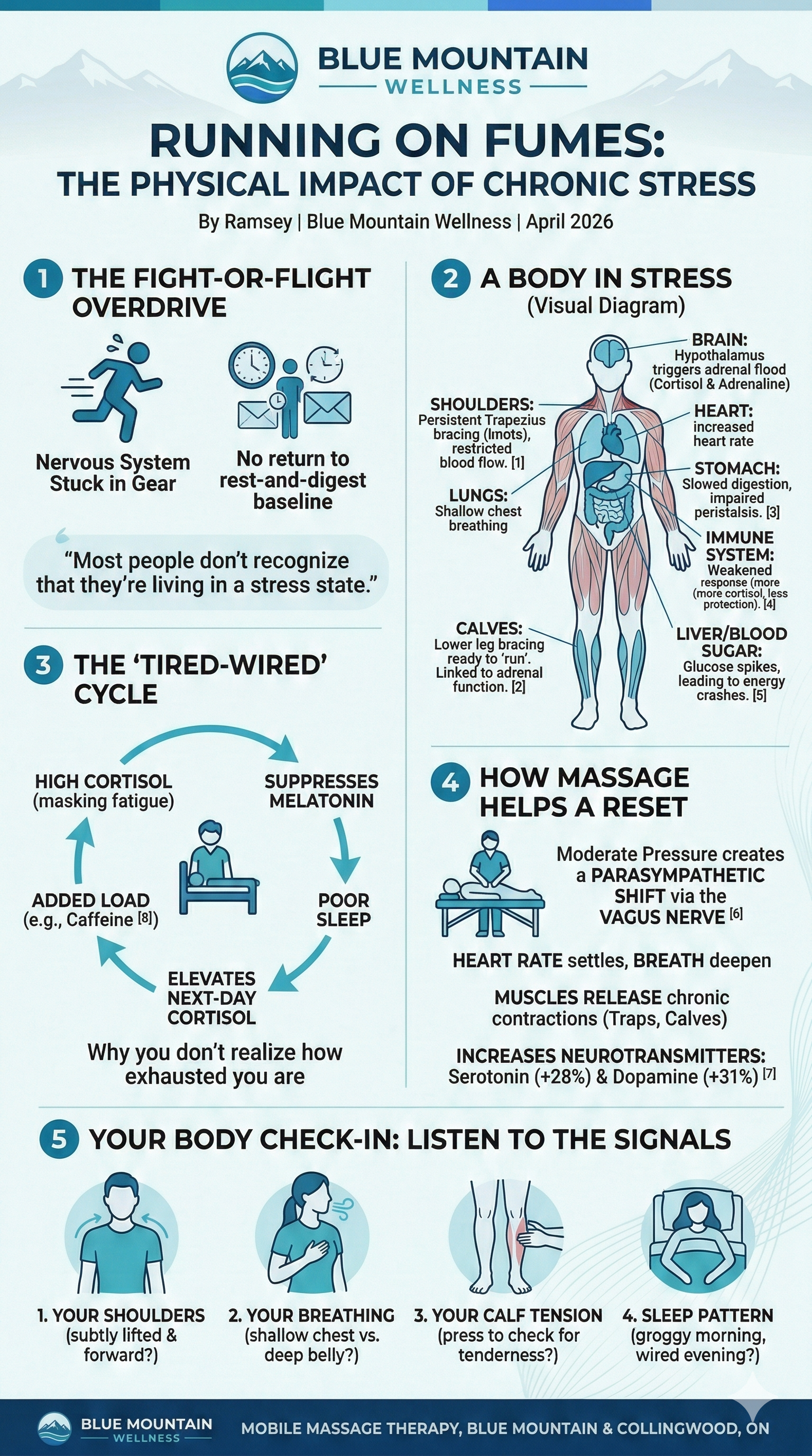 Running on Fumes:What Your Body Is Actually Doing When You're Stressed