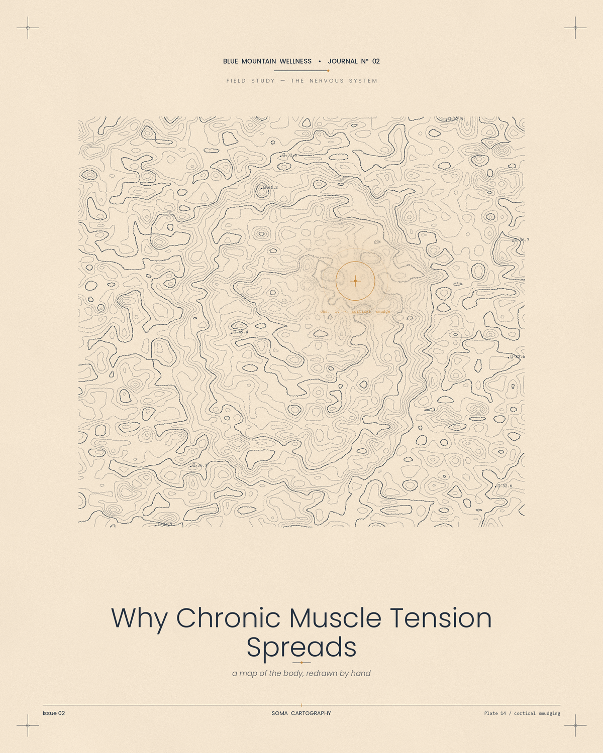Why Chronic Muscle Tension Spreads: A Blue Mountain RMT Explains