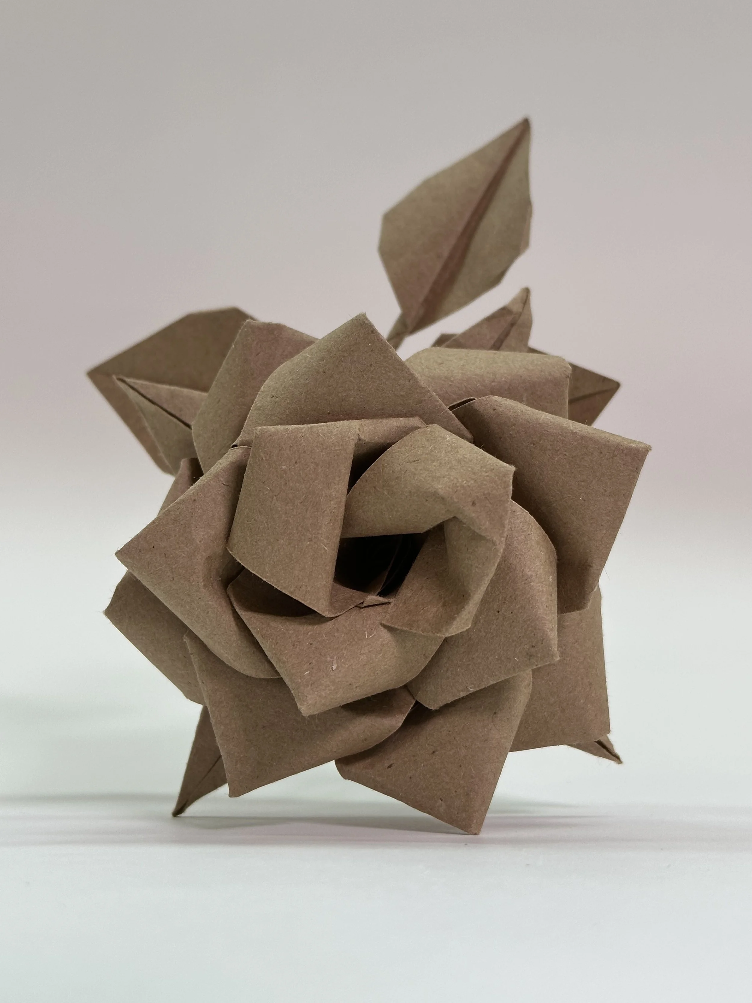 brown rose front.jpg