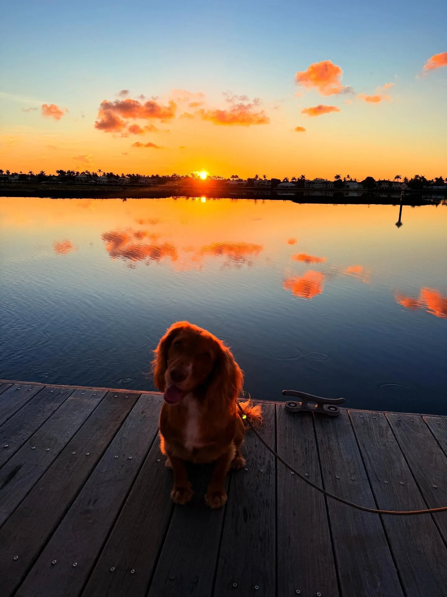 Mornings with Winnie &amp; Rew Rew #RiseforRew