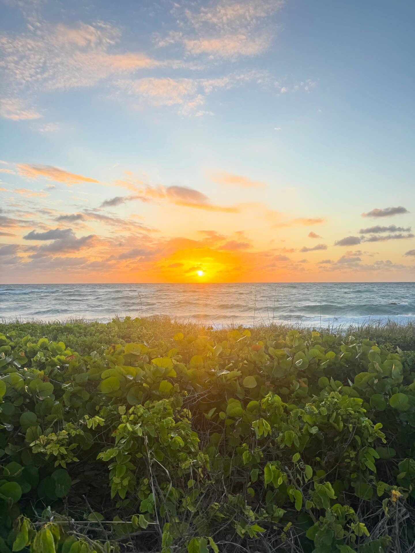 Hello our sweet boy. We love you. #RiseforRew