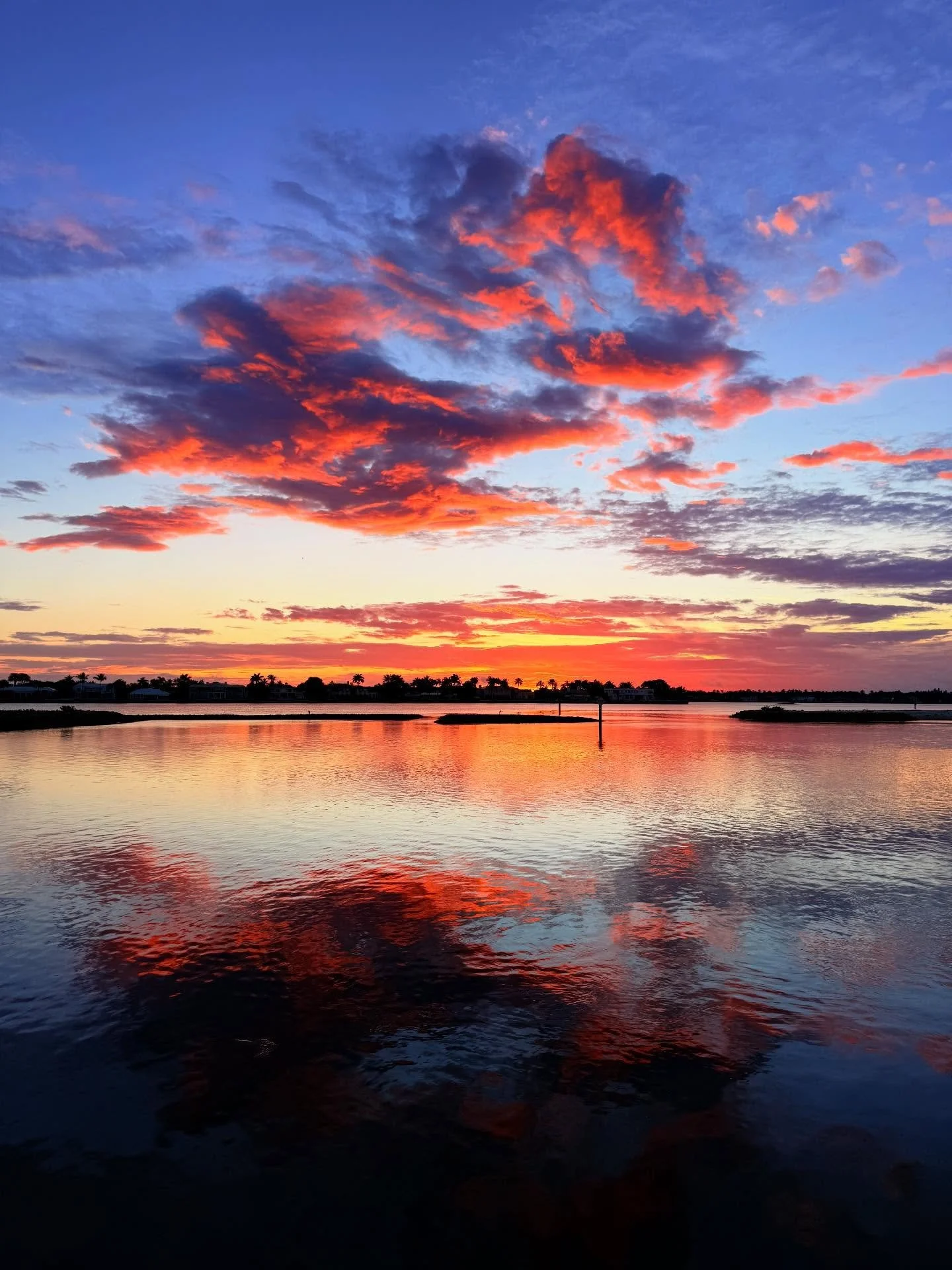 Day 8: #RiseforRew! We love mornings with big brother 💙